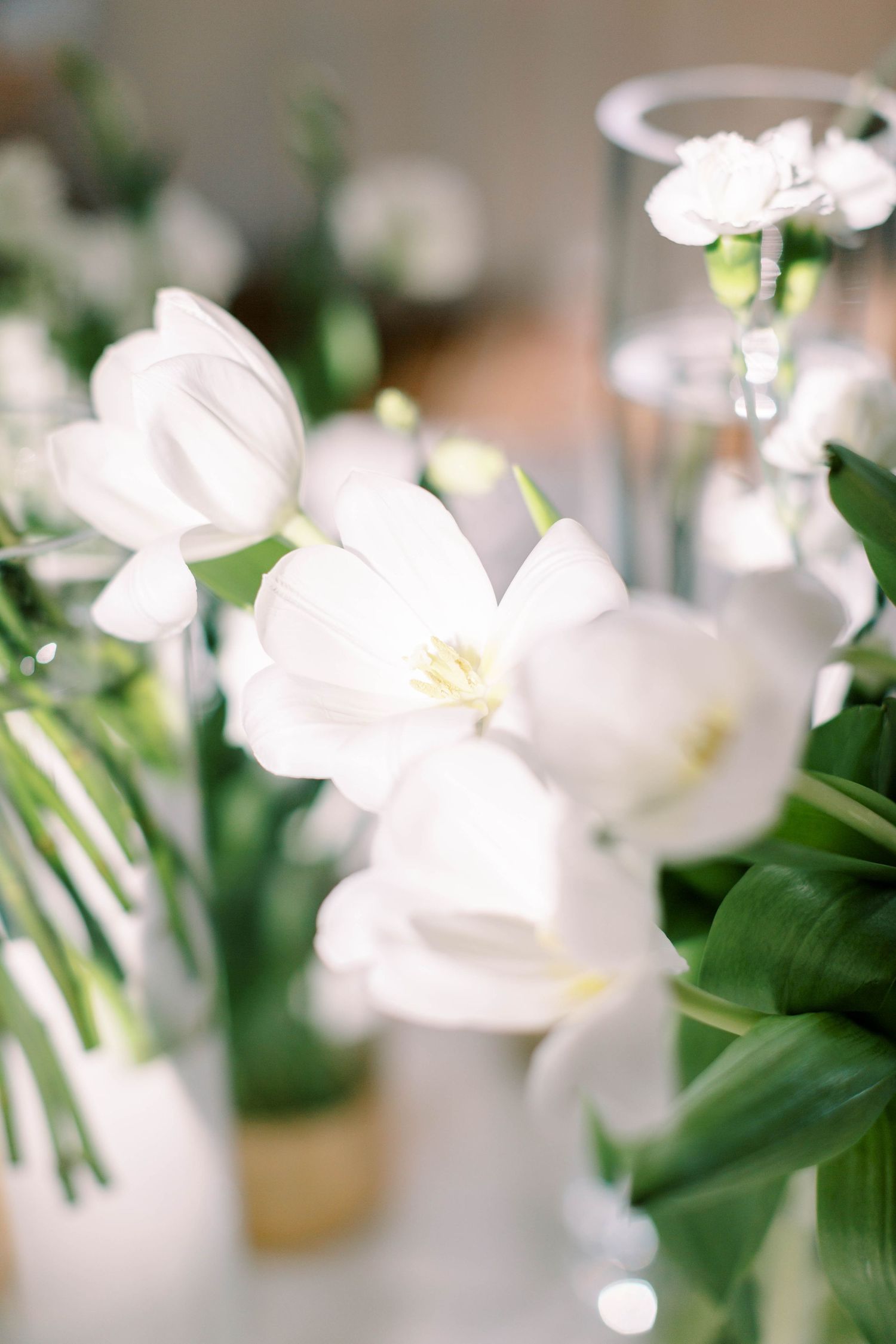 Fresh white tulip centerpieces at Dallas, Texas wedding reception