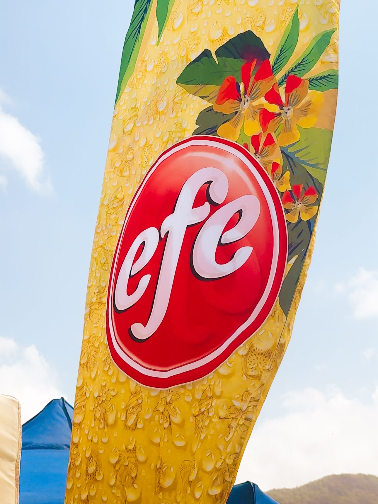 EFE