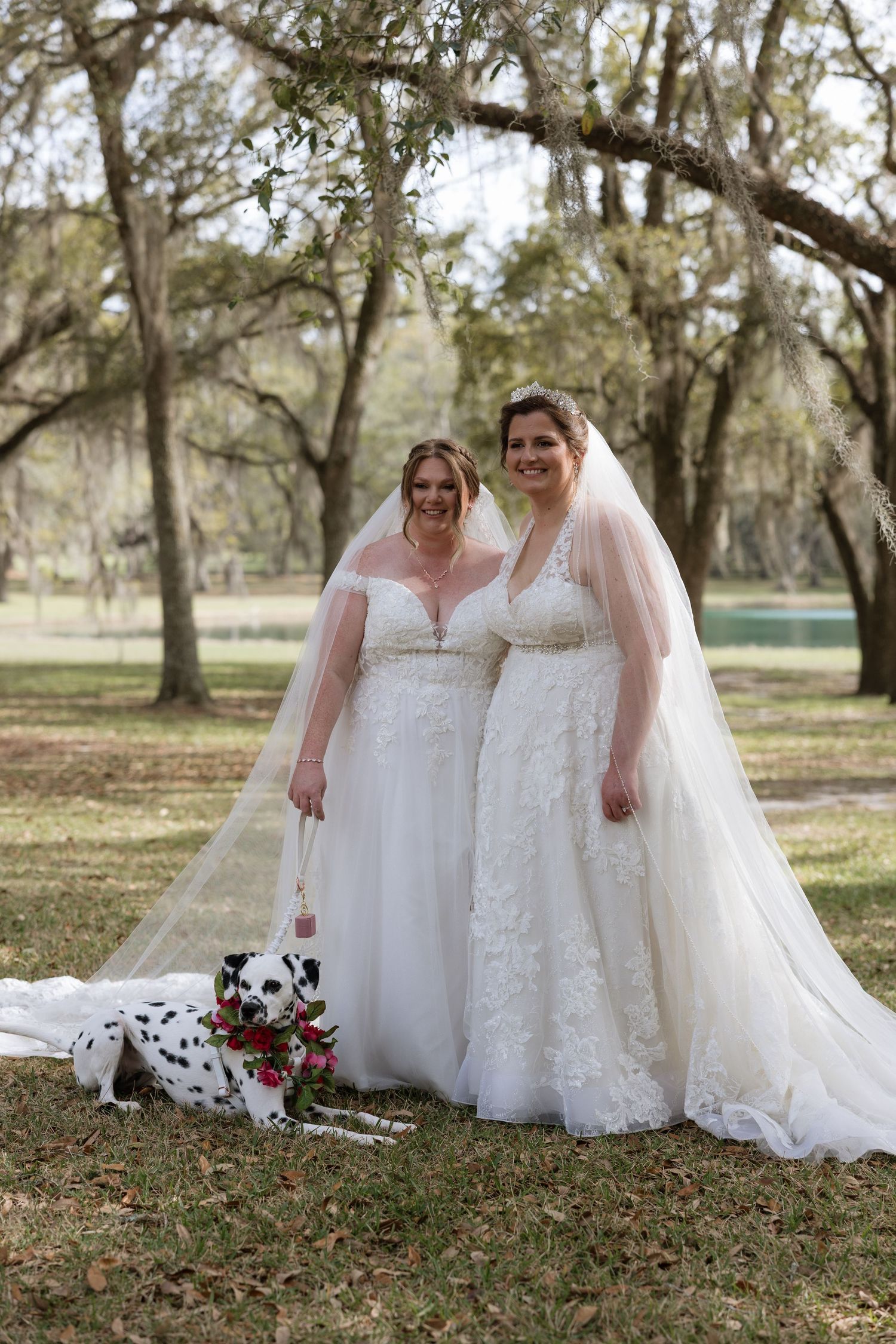 Two brides in white lace gowns and veils pose outdoors with a Dalmatian dog amid moss-draped oak trees.