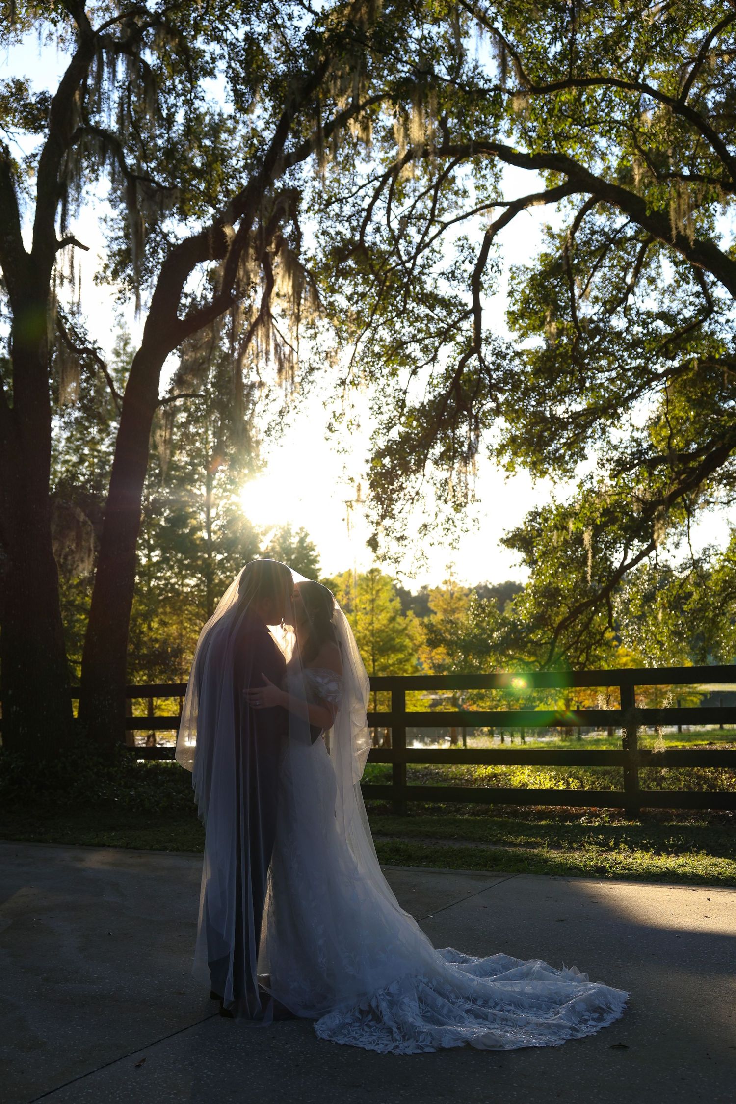 Silhouetted couple in wedding attire standing together at sunset with Spanish moss draped trees in background.