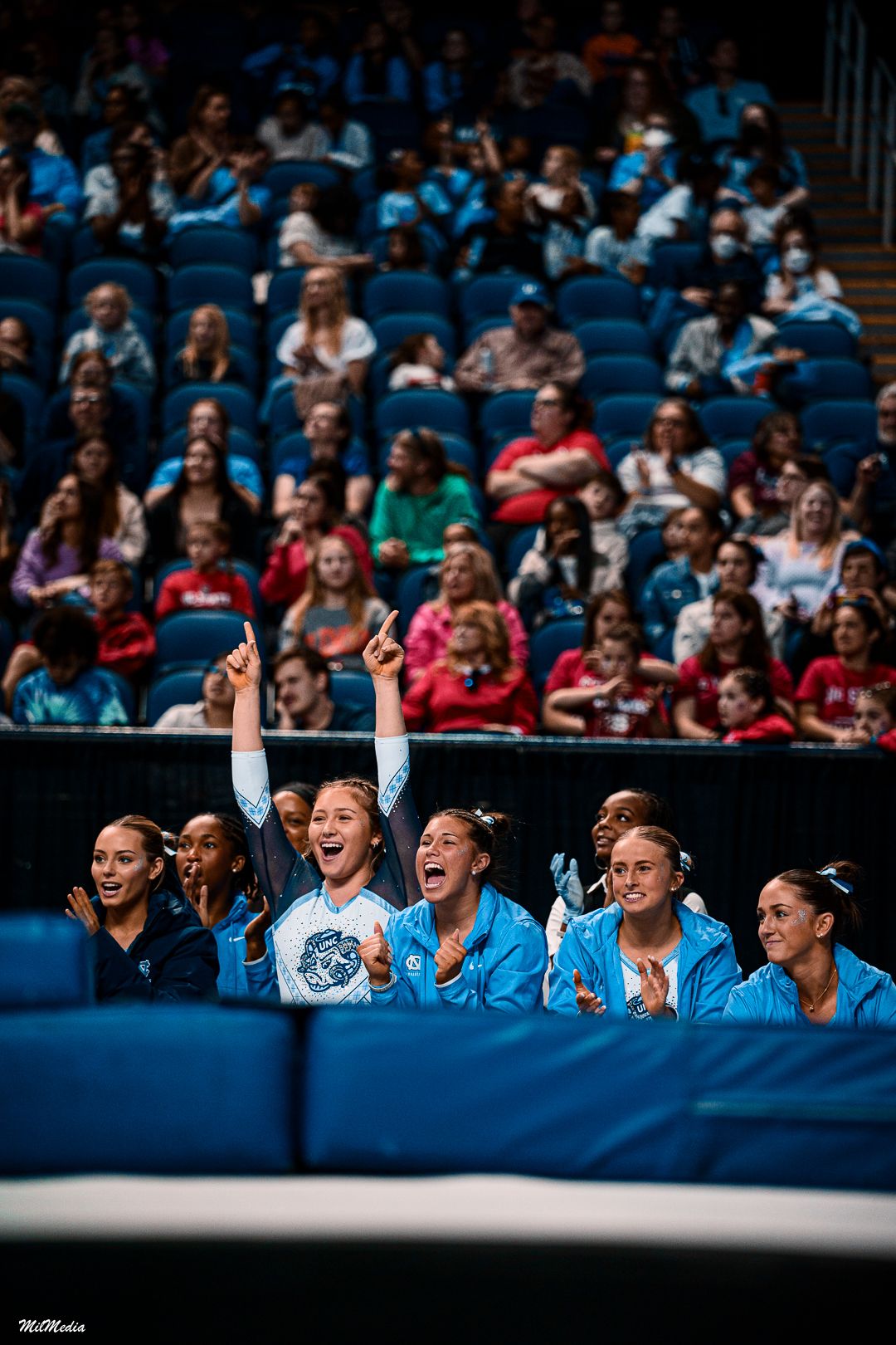 Team members cheering enthusiastically from sidelines during the ACC Gymnastics Championships.