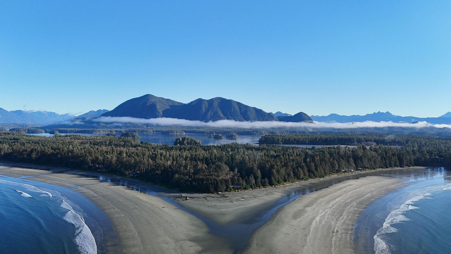 Vue en drone de Chesterman Beach, une plage en Y avec pins et montagnes en arrière plan