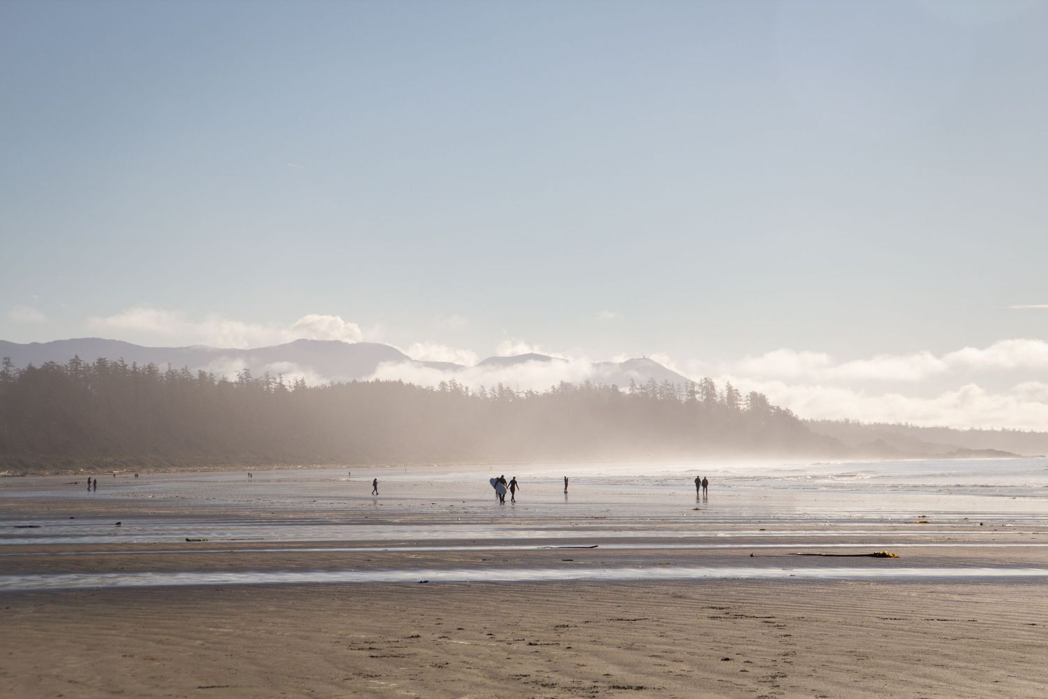 Plusieurs groupes marchent sur la plage de Tofino sous la brume avec en arrière plan une forêt de pins et la montagne.