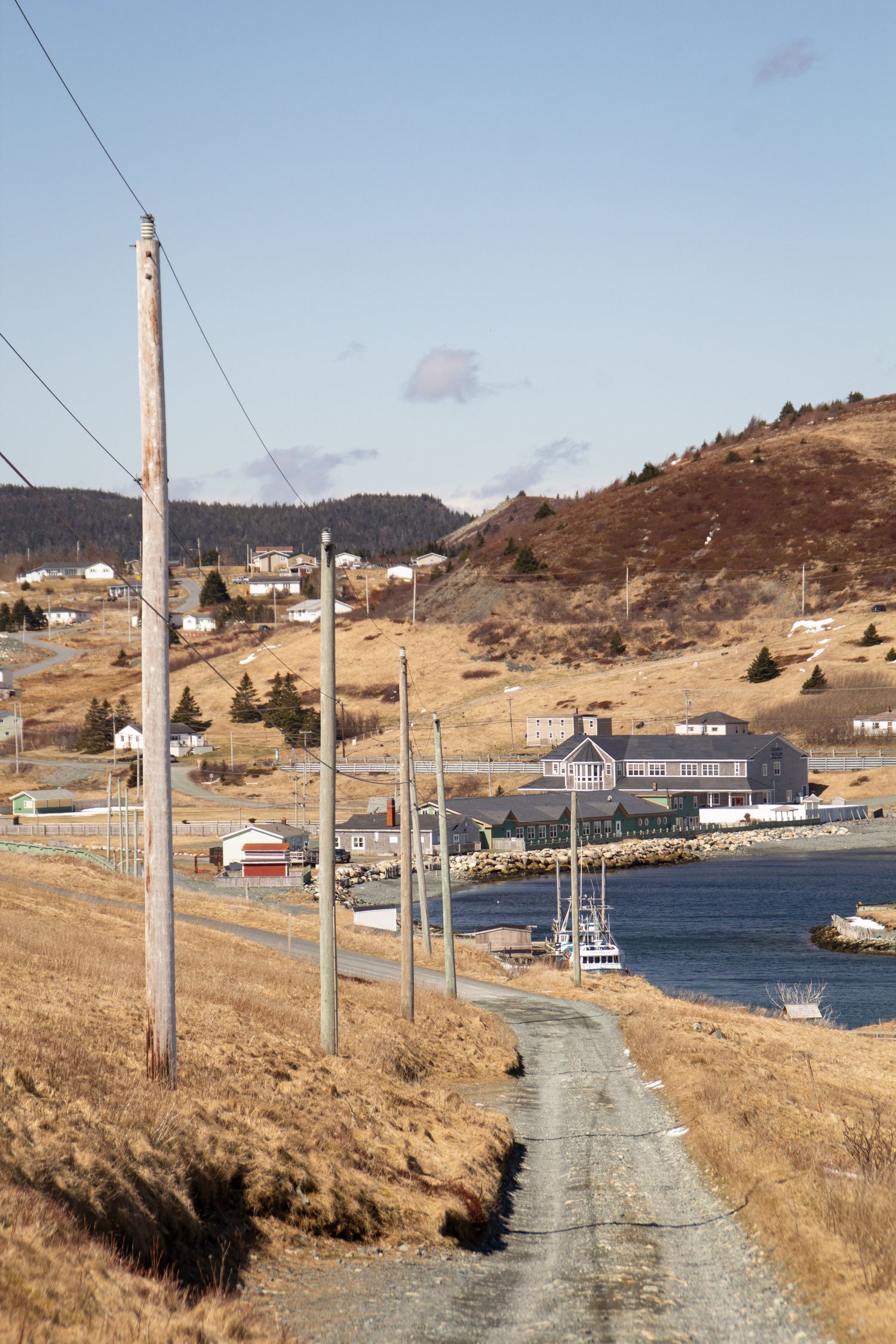 Route qui mène en contrebas au village de Ferryland avec la mer sur la droite et les montagnes de pins en arrière plan.