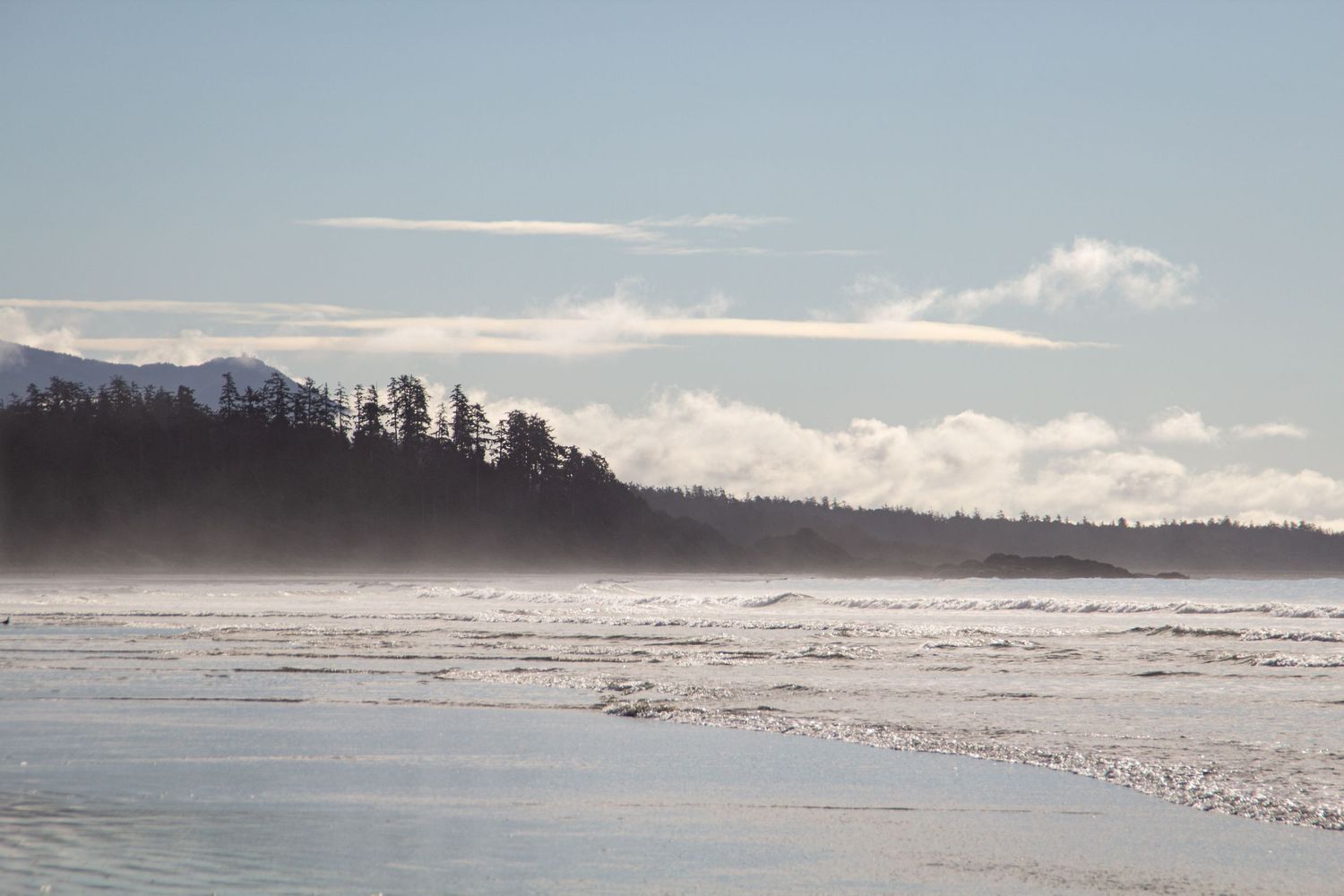 Plage de Tofino sous la brume avec en arrière plan une forêt de pins et la montagne.