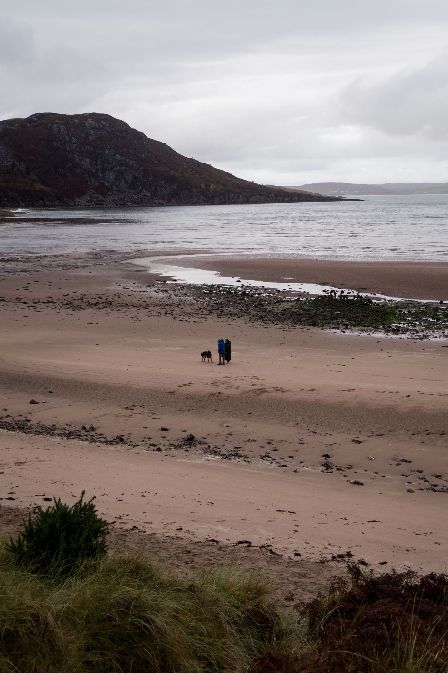 Un couple et leur chien marchent sur une plage entre végétaux et monts.