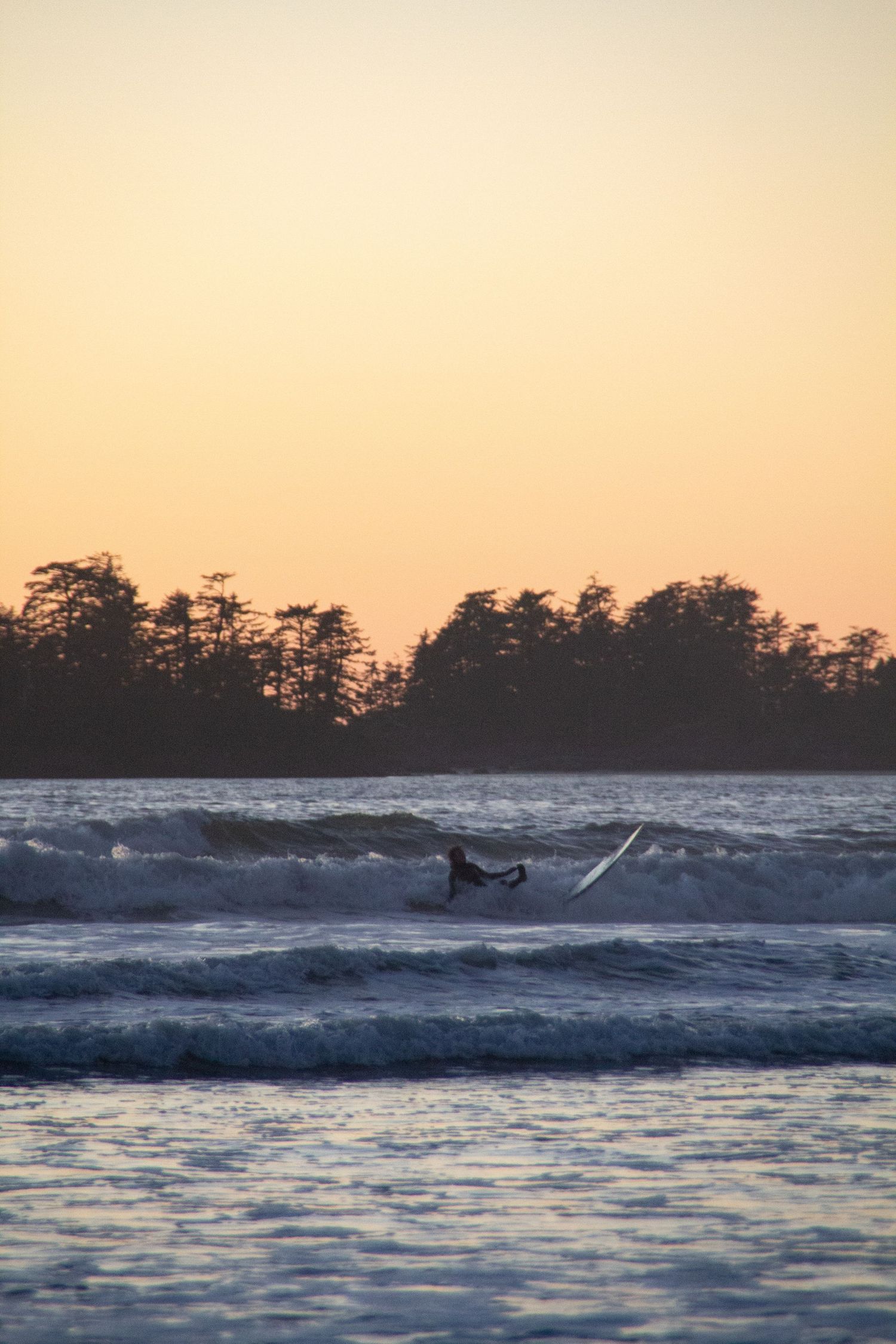 Surfeur chutant en arrière de sa planche de surf sous un coucher de soleil avec en arrière plan une forêt de pins.