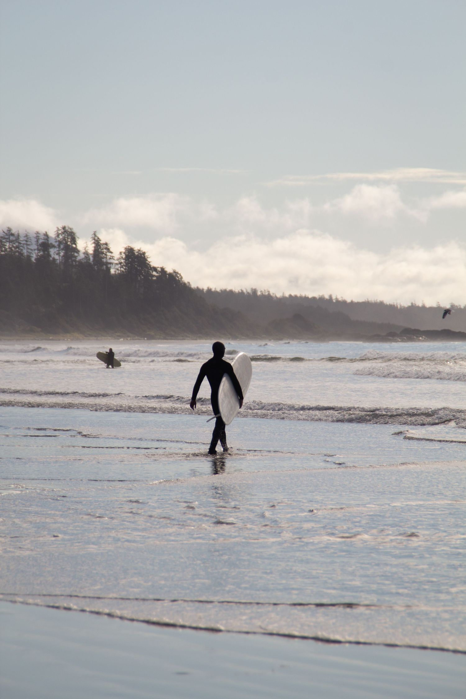 Homme qui s’apprête à entrer dans l’eau avec sa planche de surf. En arrière plan, forêt de pins et un second surfeur qui sort de l’eau.