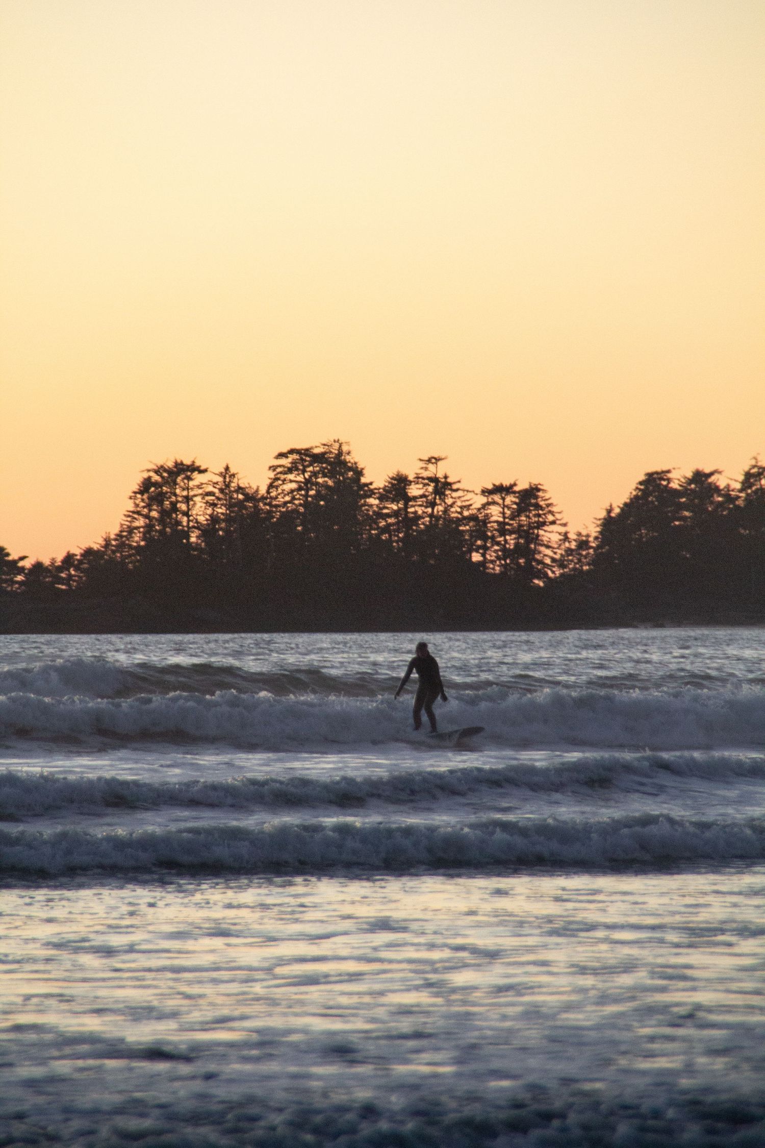 Surfeur sur sa planche de surf sous un coucher de soleil avec en arrière plan une forêt de pins.