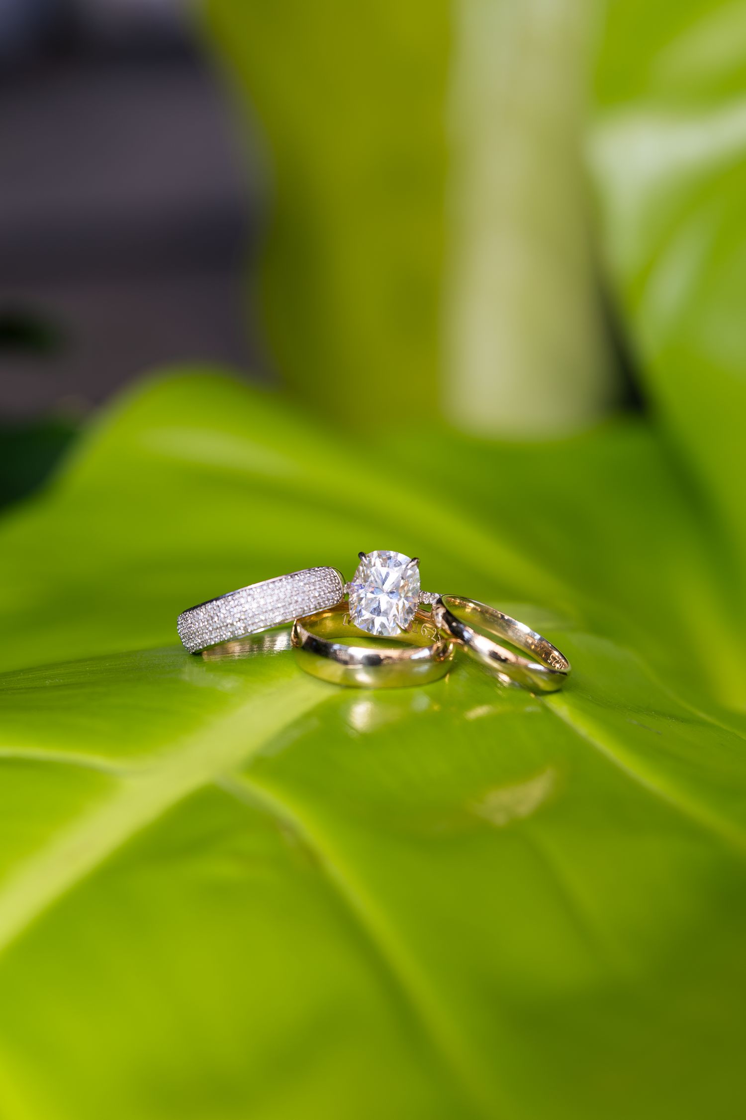 Wedding rings photographed on green leaves with diamond engagement ring detail.