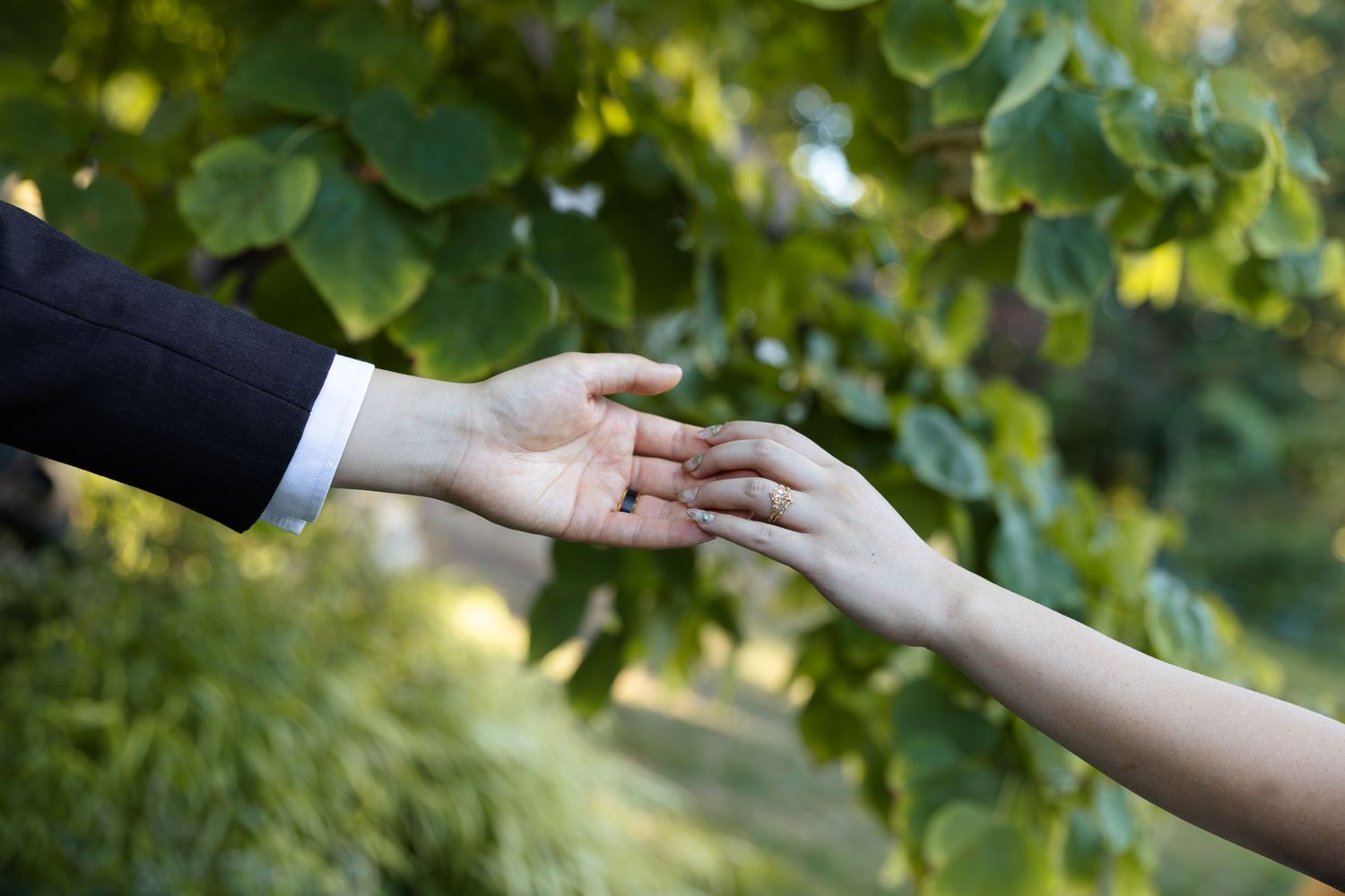 Close-up of hands reaching toward each other against a blurred green foliage background to showcase wedding bands.