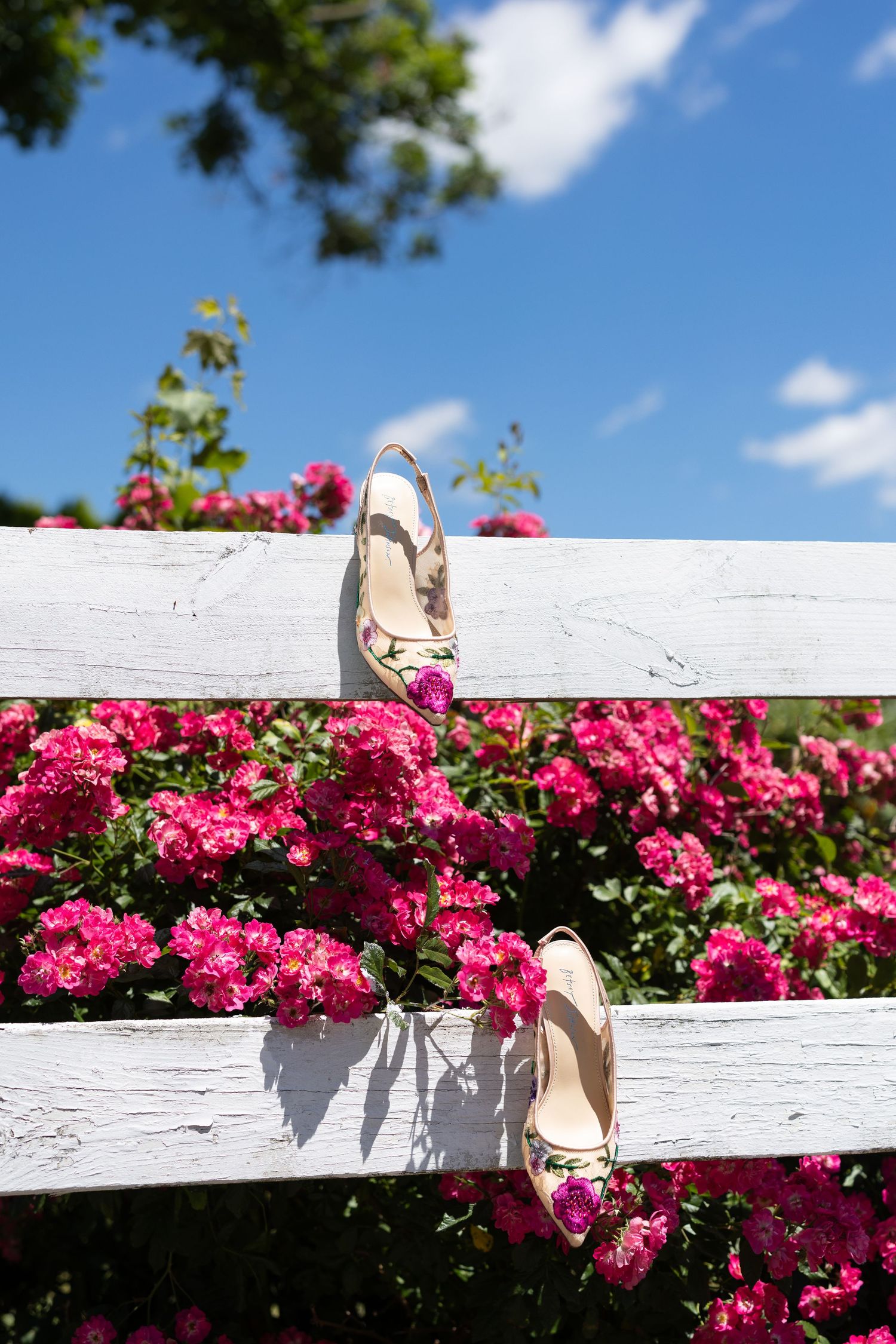 Elegant heels displayed on a white fence surrounded by vibrant pink roses under a blue sky.