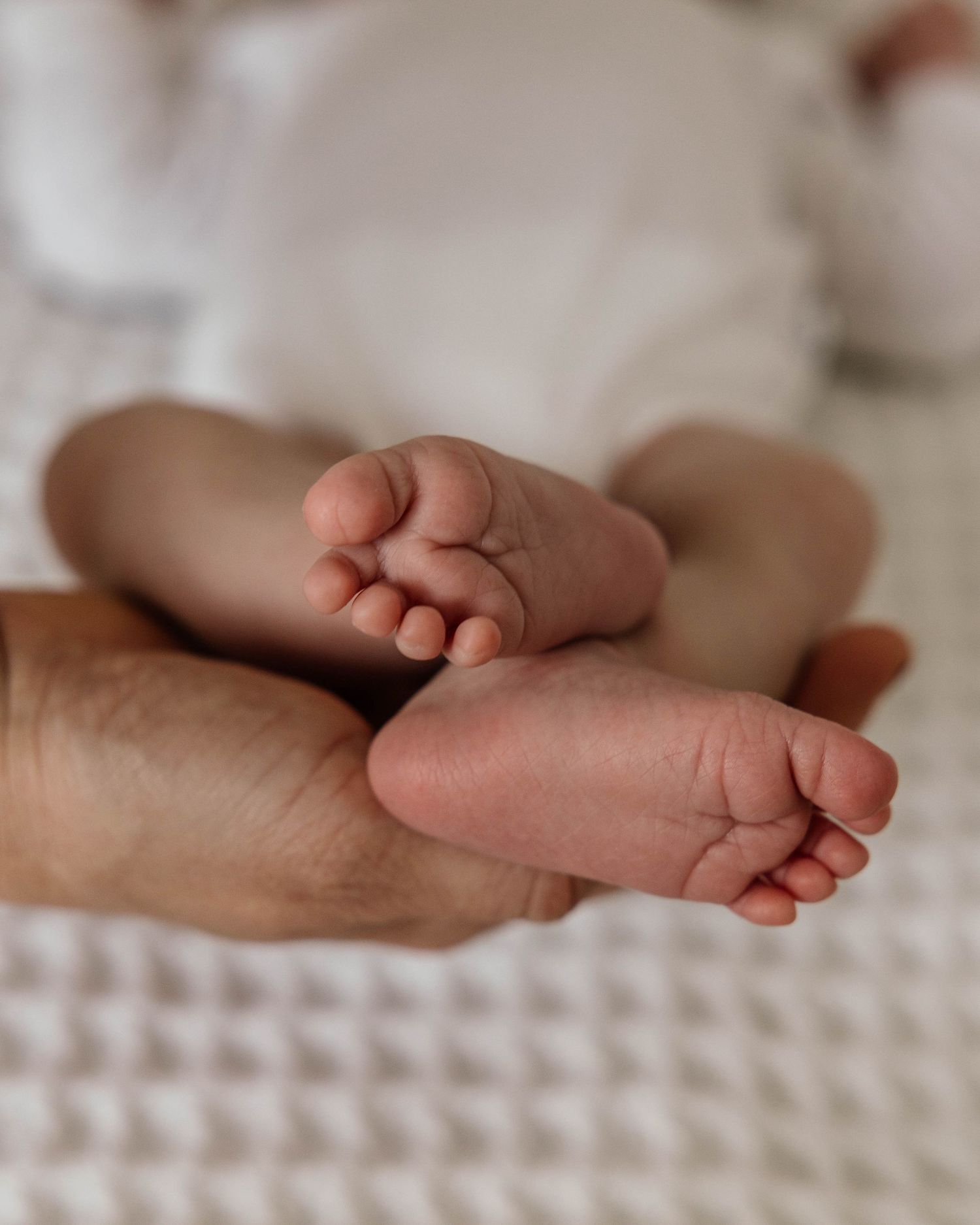 Newborn photography in Jeffreys Bay