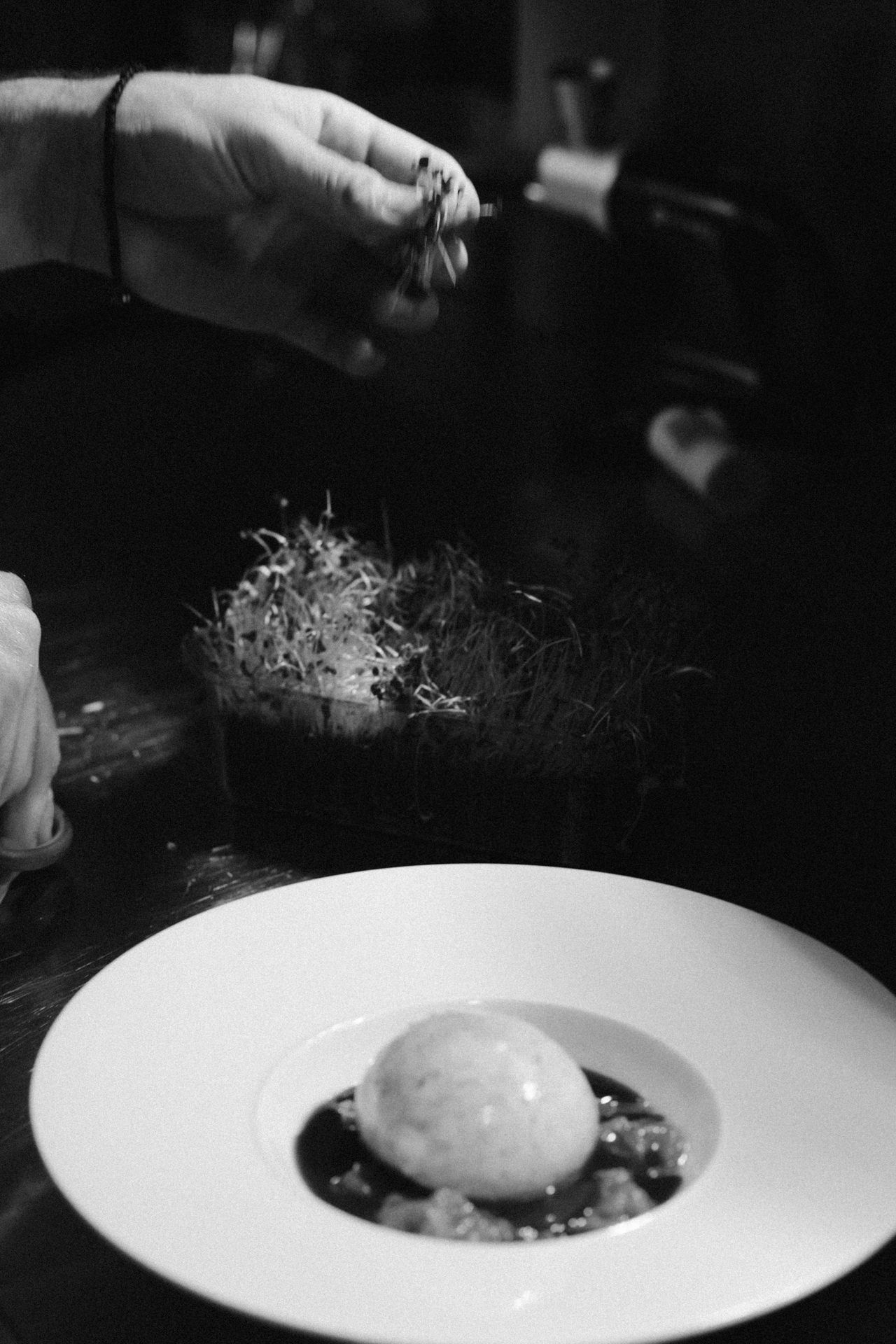 Fine dining dessert presentation with white foam on a pristine plate.