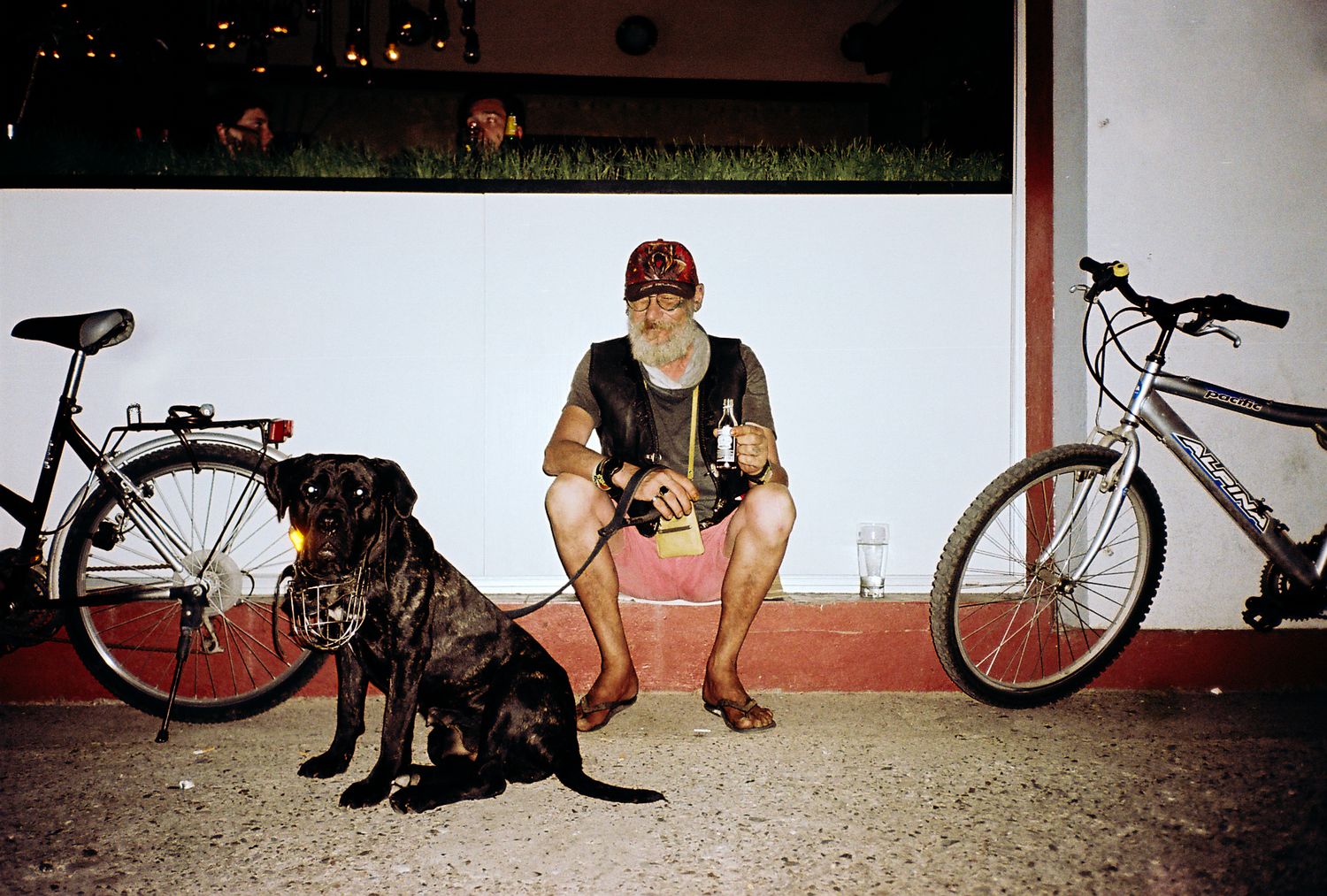 A panoramic collage of six photos showing a person with a bicycle and a dog in various casual outdoor settings.