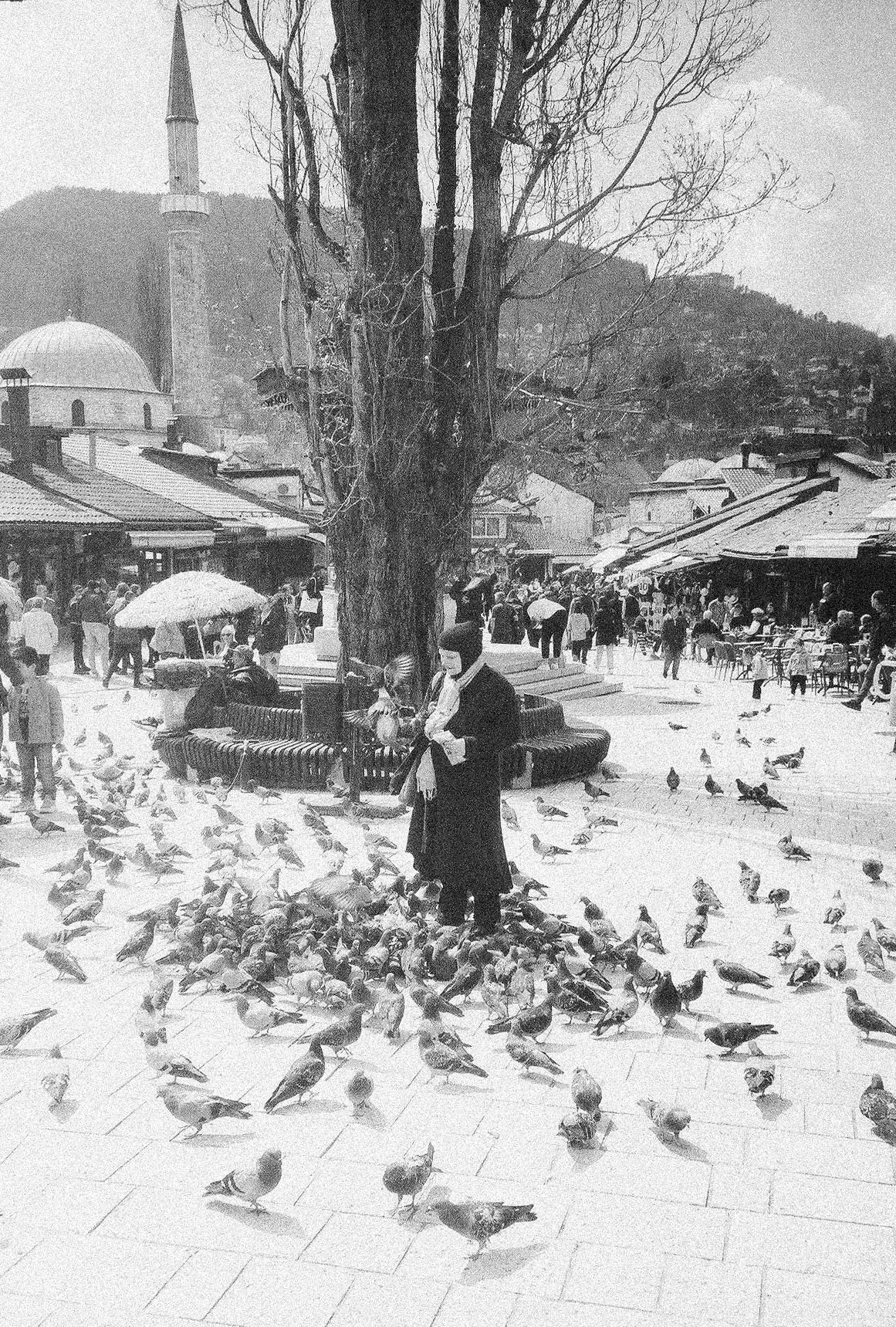 Black and white panoramic winter scene showing people feeding a large flock of pigeons in a snowy courtyard near a mosque.