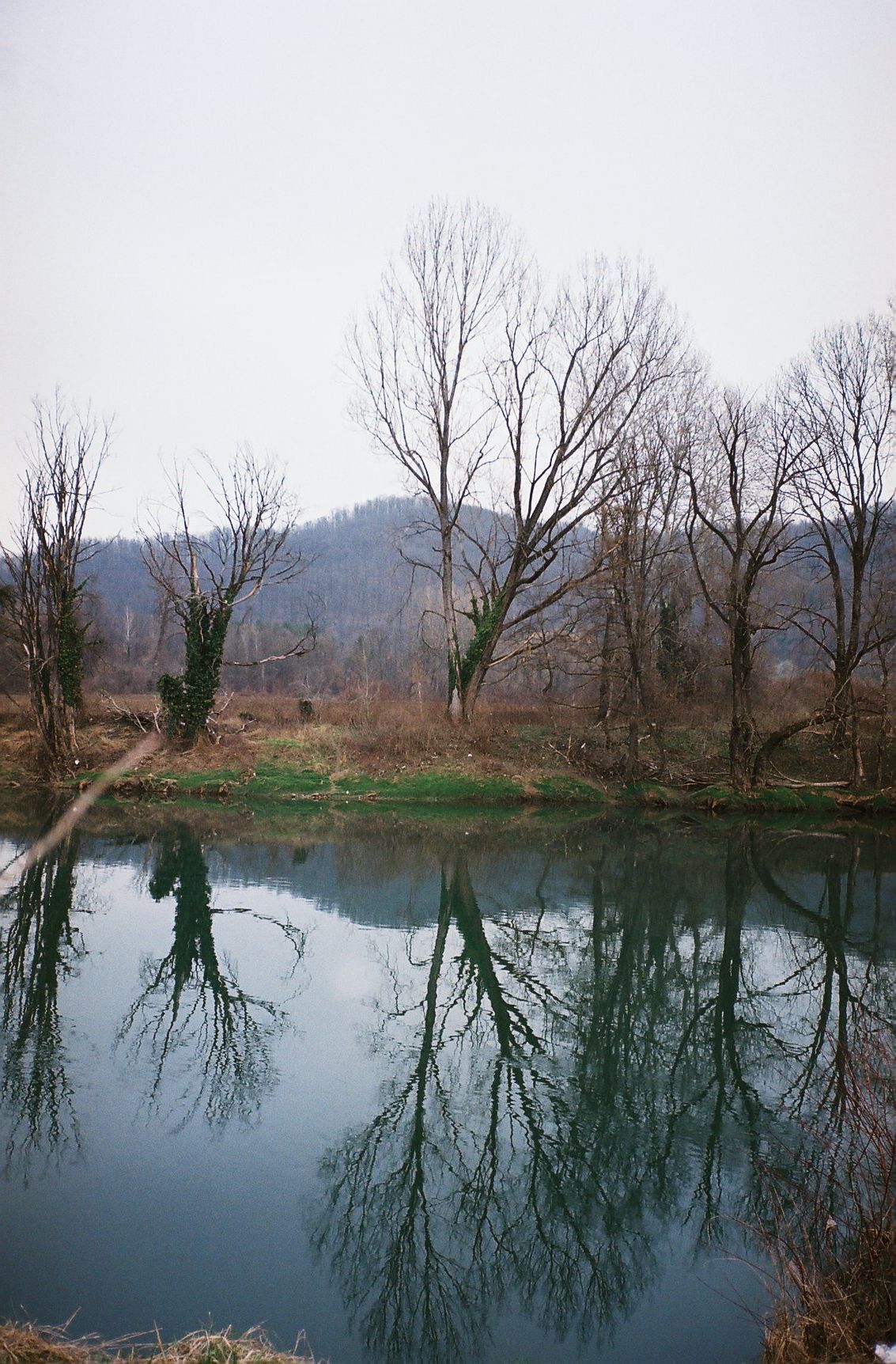 Bare winter trees reflect in the calm waters of a serene lake creating a mirror-like surface in the landscape.