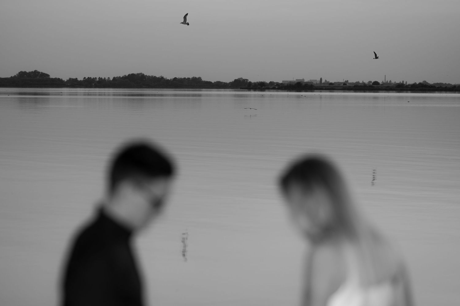 Silhouetted figures against a serene lakeside sunset with birds flying overhead.