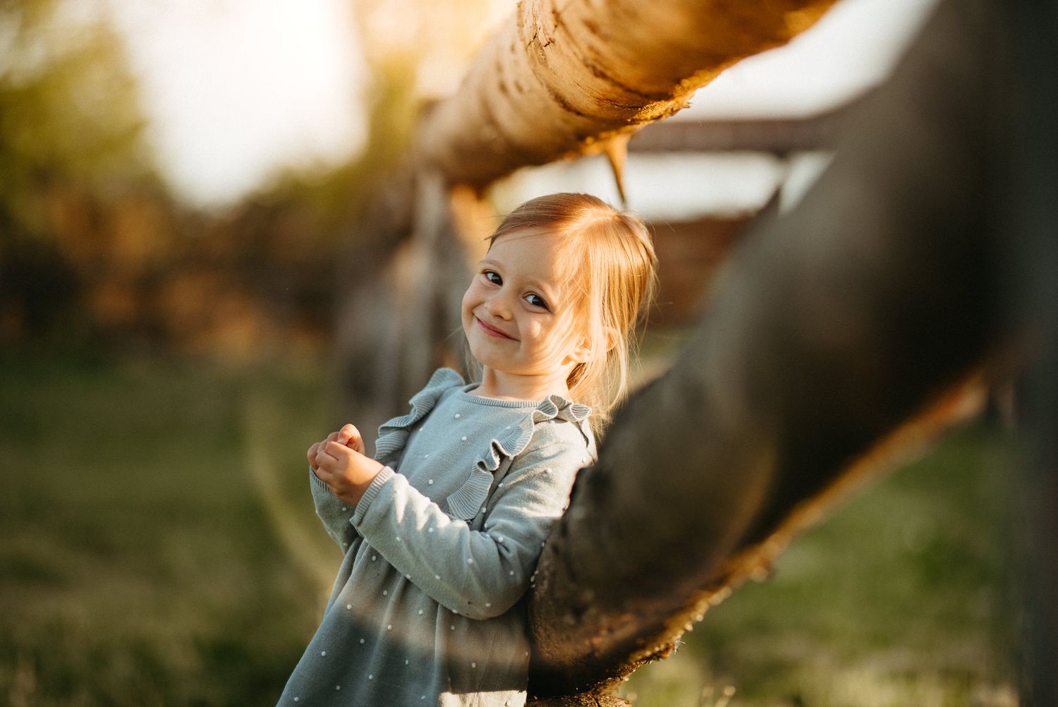 A smiling toddler girl in a gray dress leans against a birch tree trunk outdoors in warm golden sunlight.