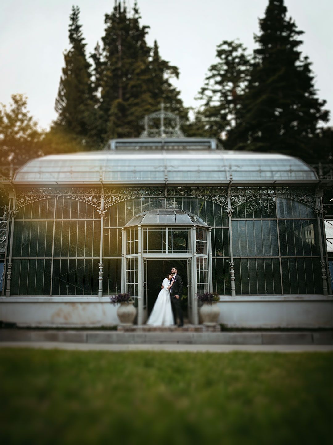 A wedding couple stands in front of a beautiful vintage greenhouse with tall evergreen trees in the background.