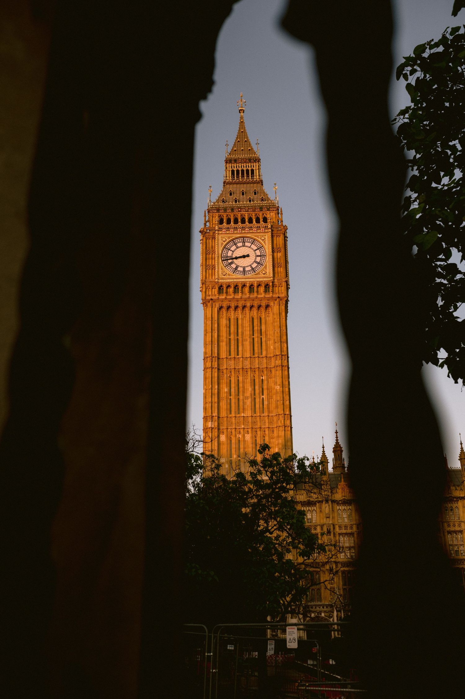 Big Ben clock tower illuminated at dusk through silhouetted tree branches in London, England.