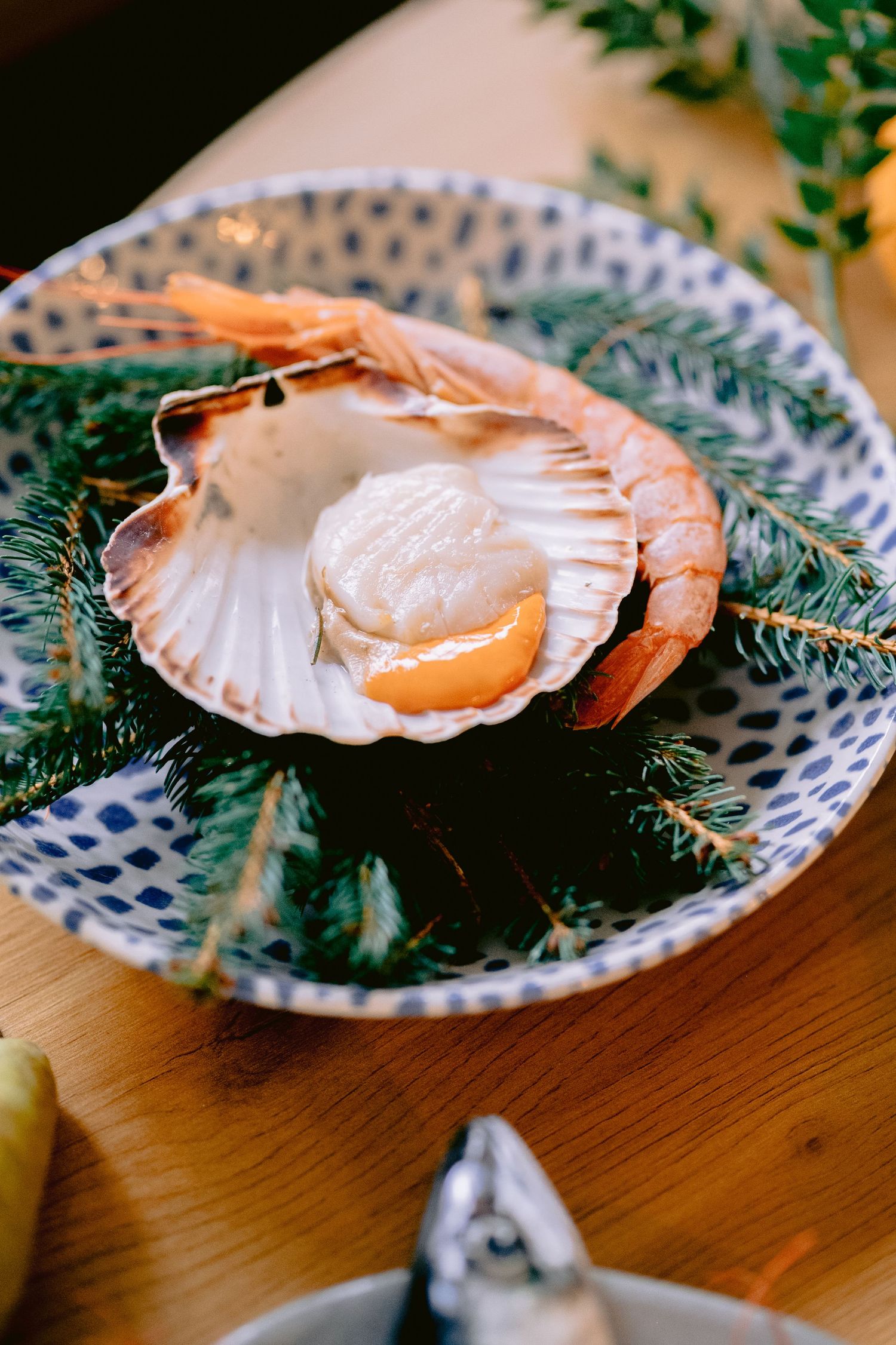 Fresh scallop in shell with shrimp on evergreen garnish, served on blue and white ceramic plate.