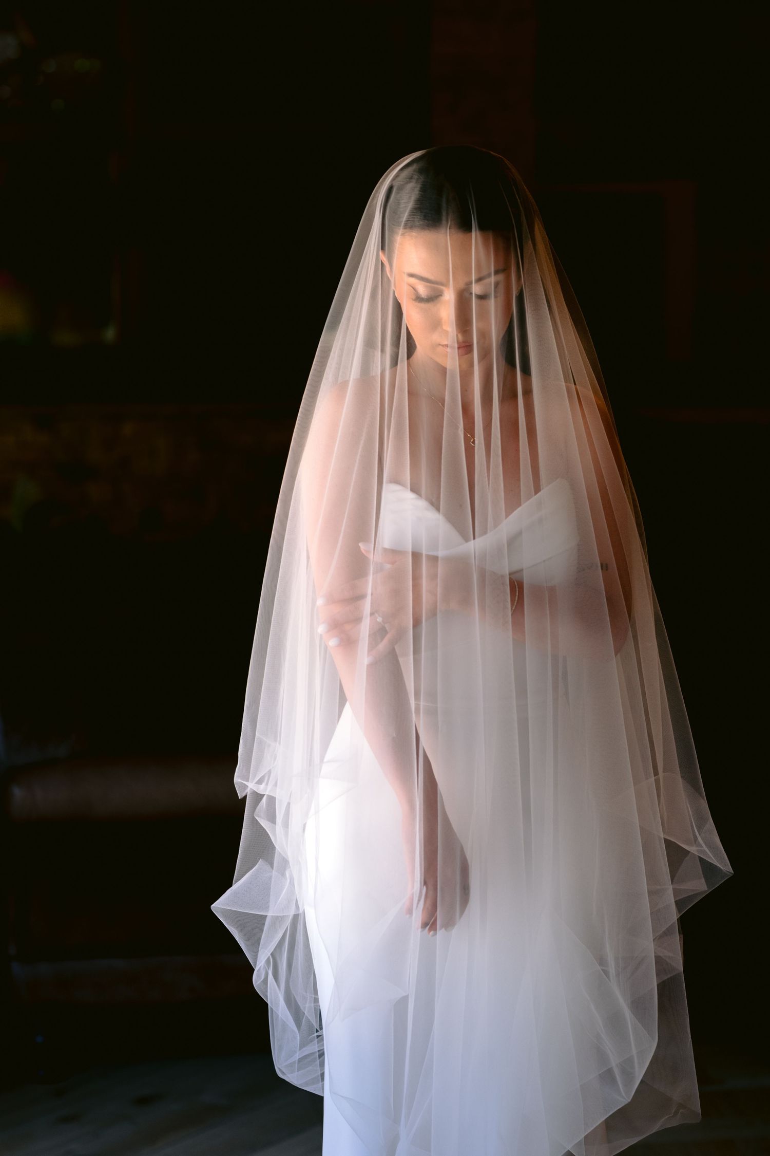 Ethereal bridal portrait with flowing white veil creating dreamy silhouette.