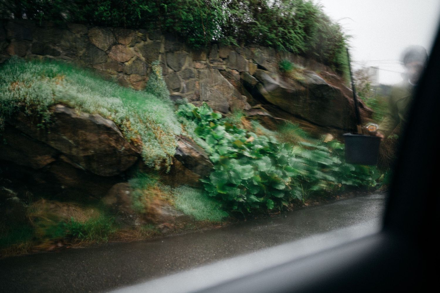 Scenic mountain road curves through rocky cliffs with lush green vegetation growing along the edges.