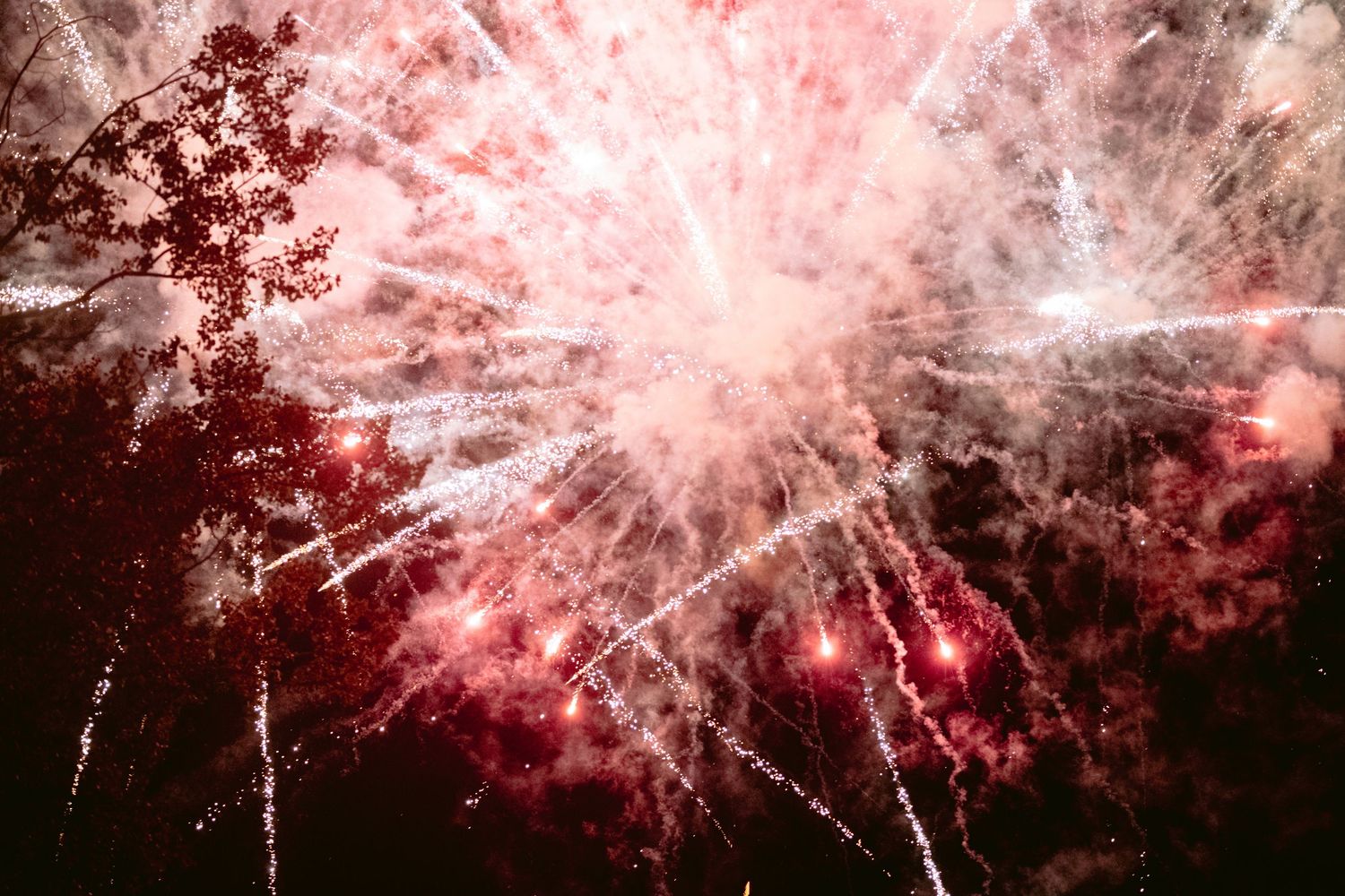 Vibrant red and white fireworks exploding in a dark night sky with tree silhouettes in the background.