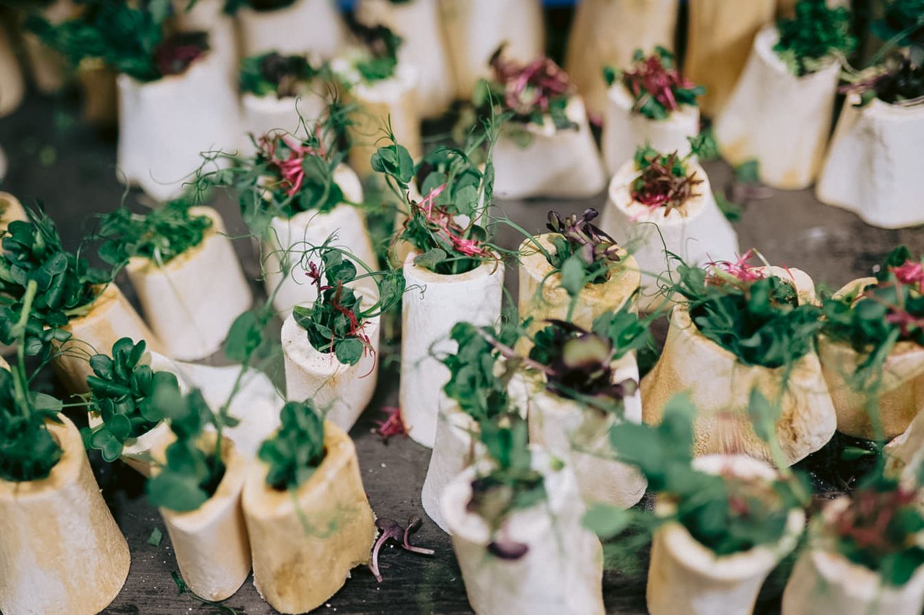 Catering display of elegant appetizers garnished with fresh herbs.