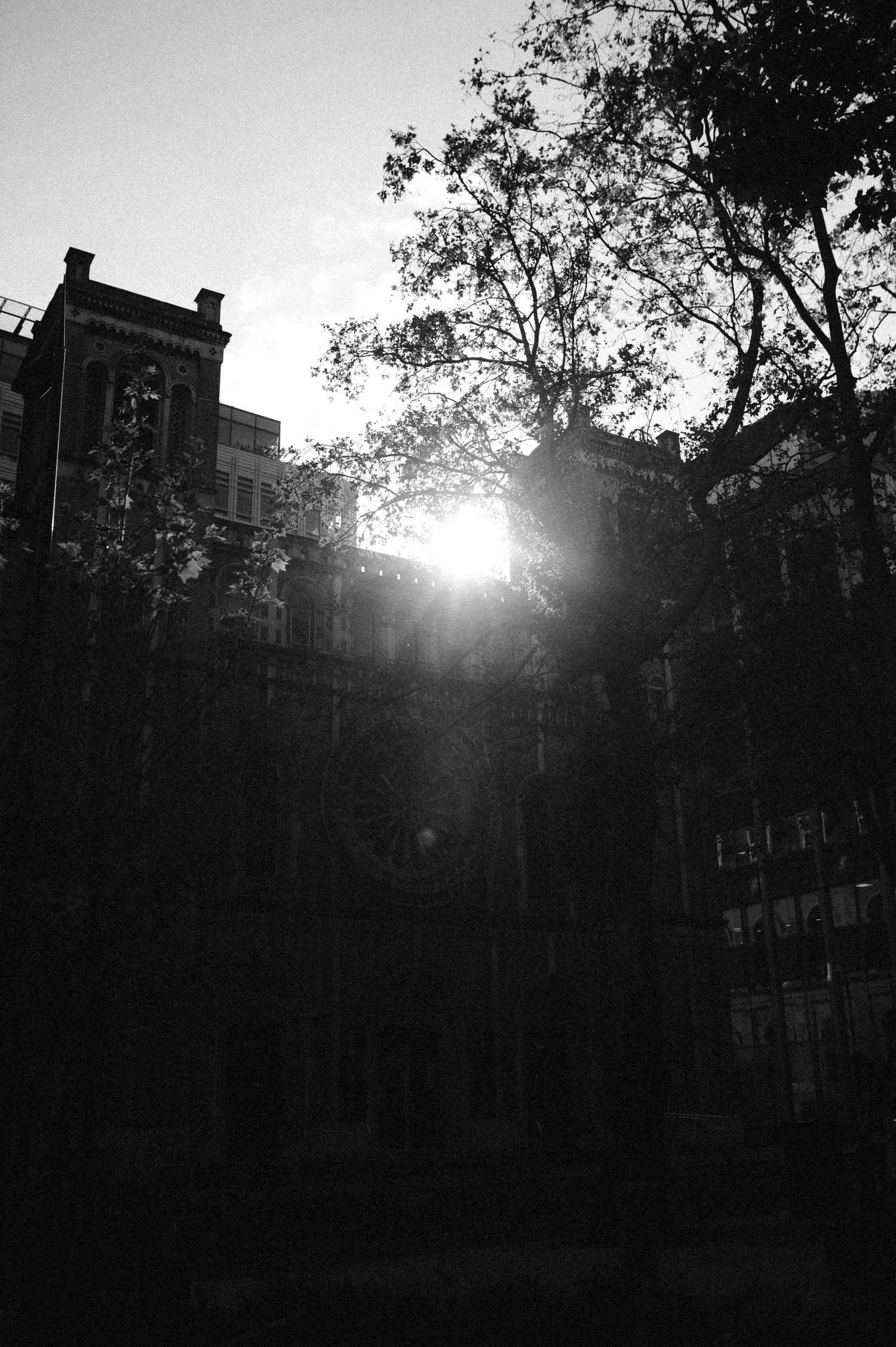 Silhouette of buildings and trees against a bright sun creating a dramatic backlit urban landscape at dusk.