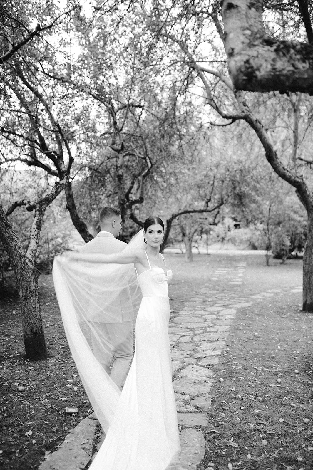 Wedding dress hanging ethereally among black and white trees in natural setting.