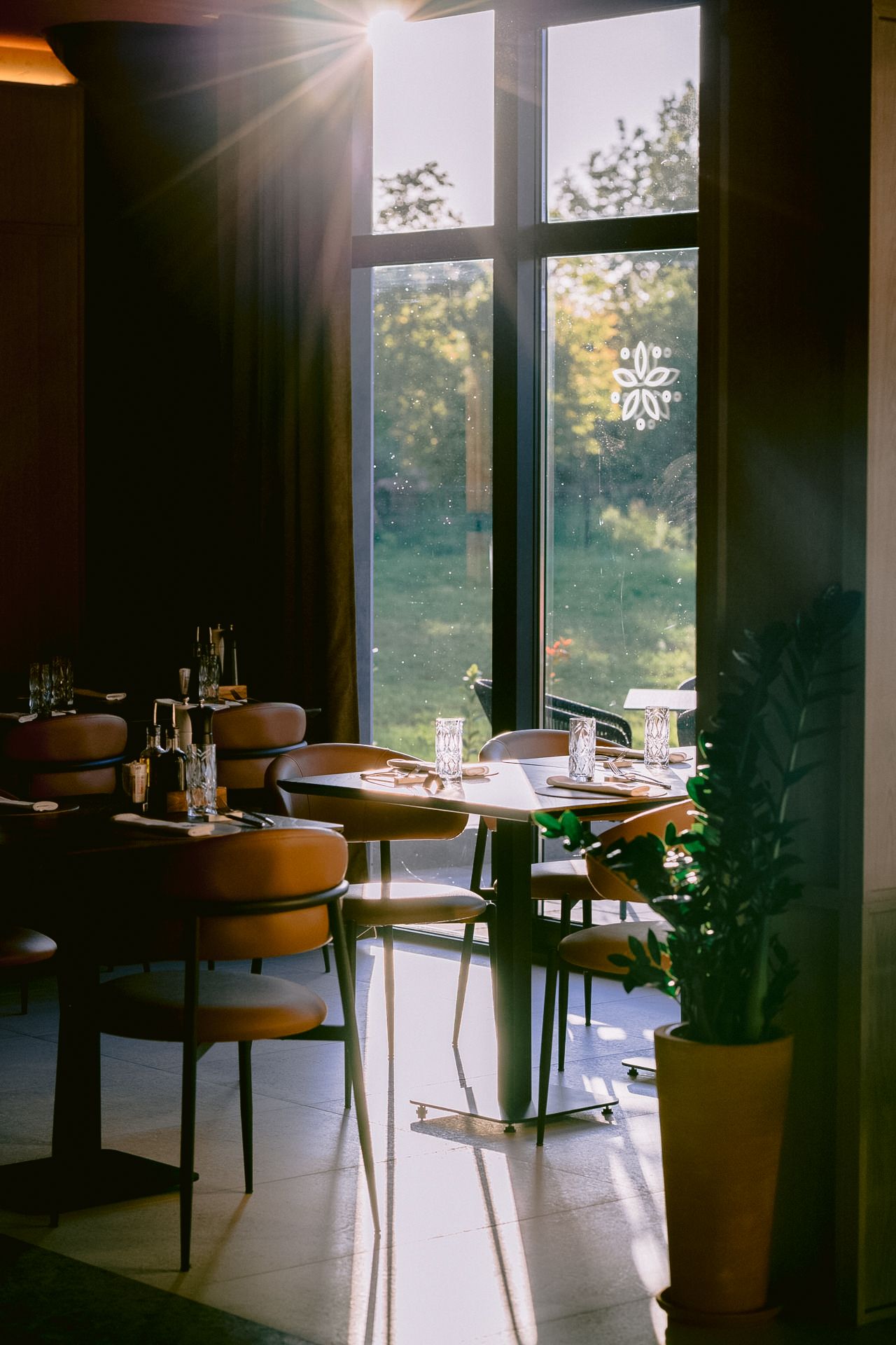 Sunlit restaurant interior with wooden chairs, set tables, large windows overlooking greenery, and a decorative plant in warm light.