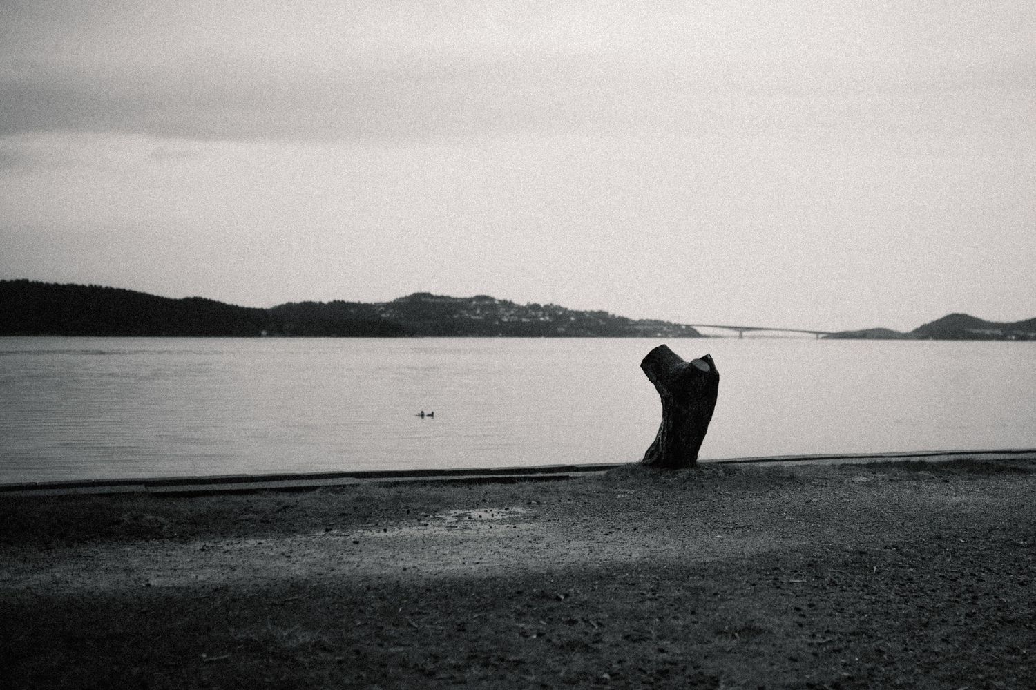 A series of minimalist black and white landscape photographs showing coastal scenes with mountains and water.