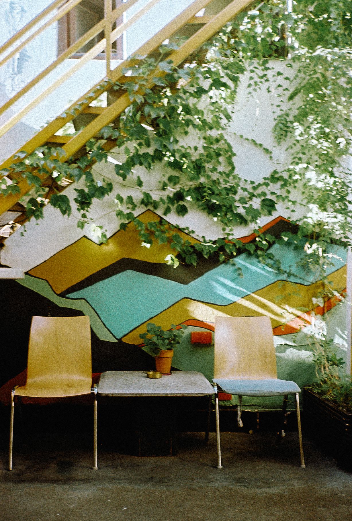 Row of empty hospital beds line up under a slanted ceiling with green plants growing along the roofline.