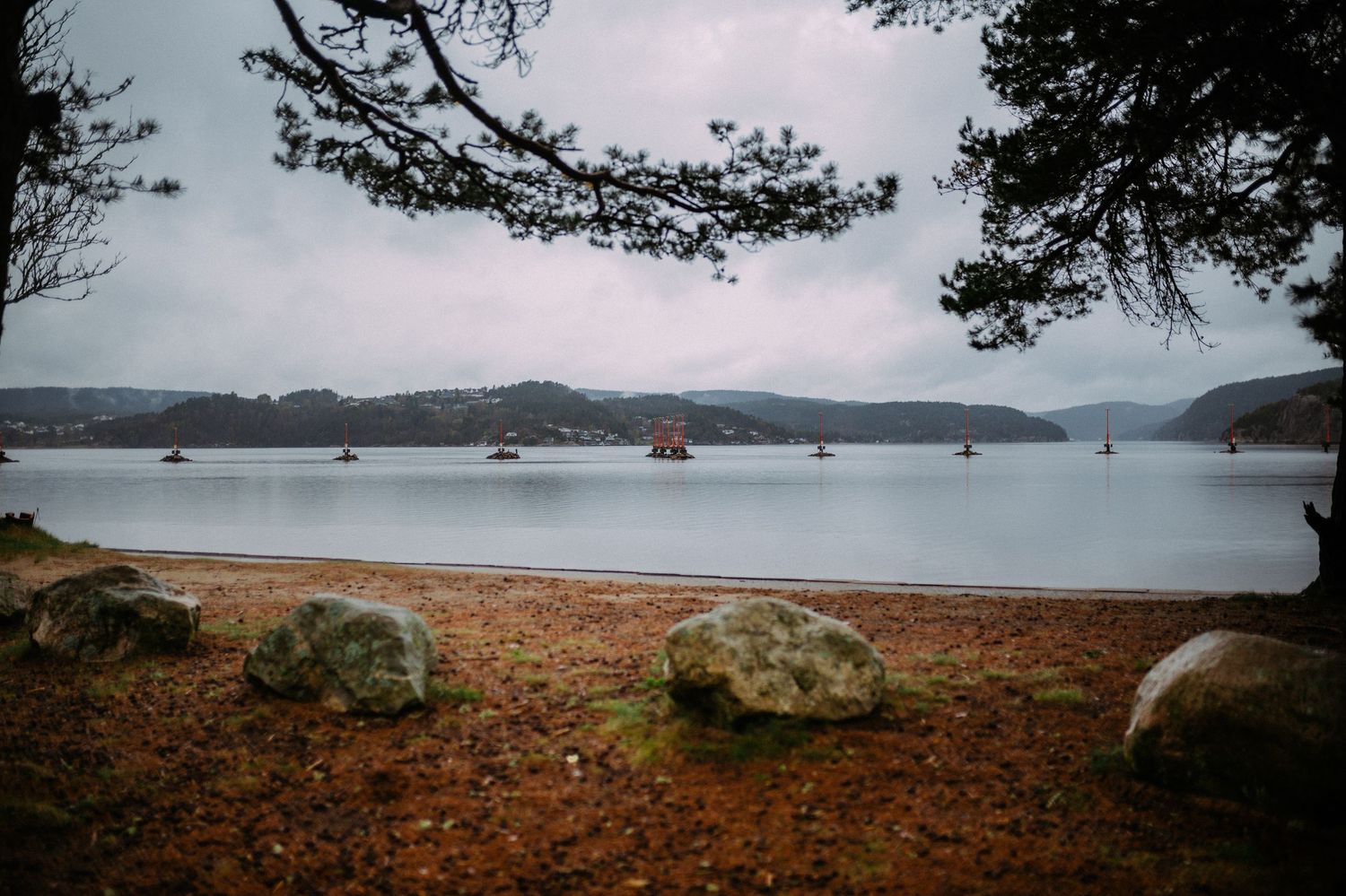 Boats float peacefully on a misty lake surrounded by pine trees and large rocks on a rustic shoreline.