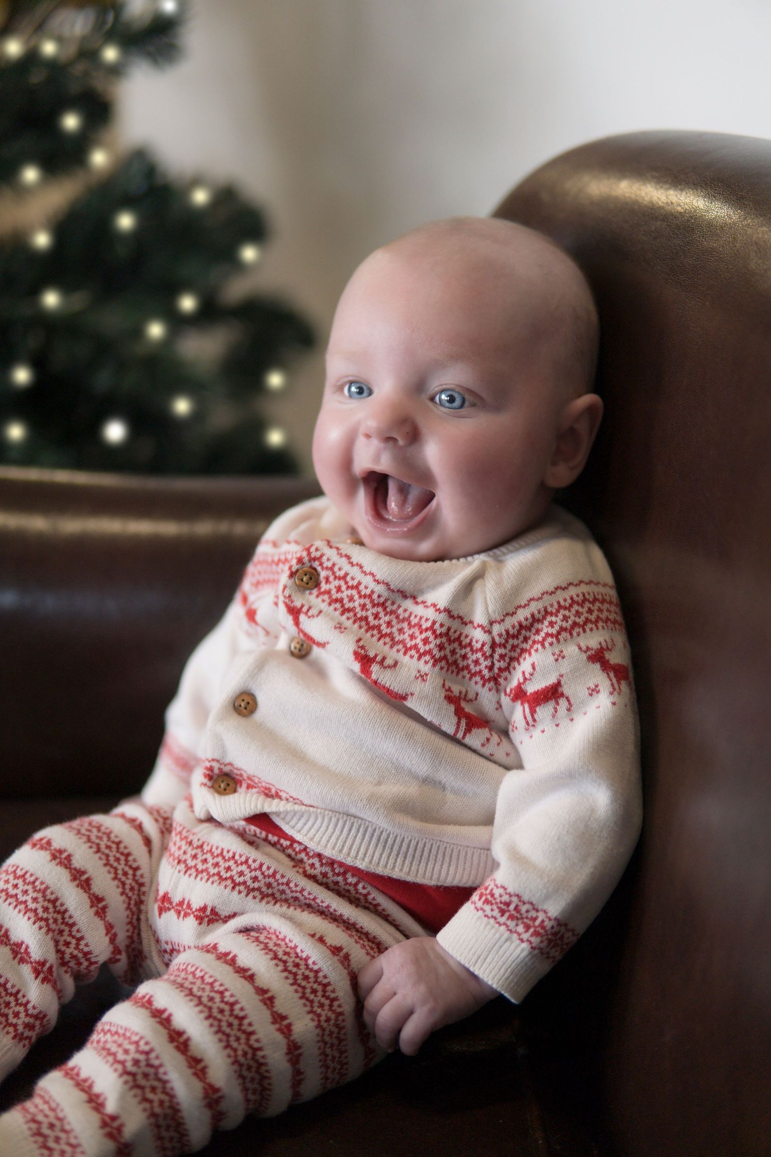 Christmas Mini