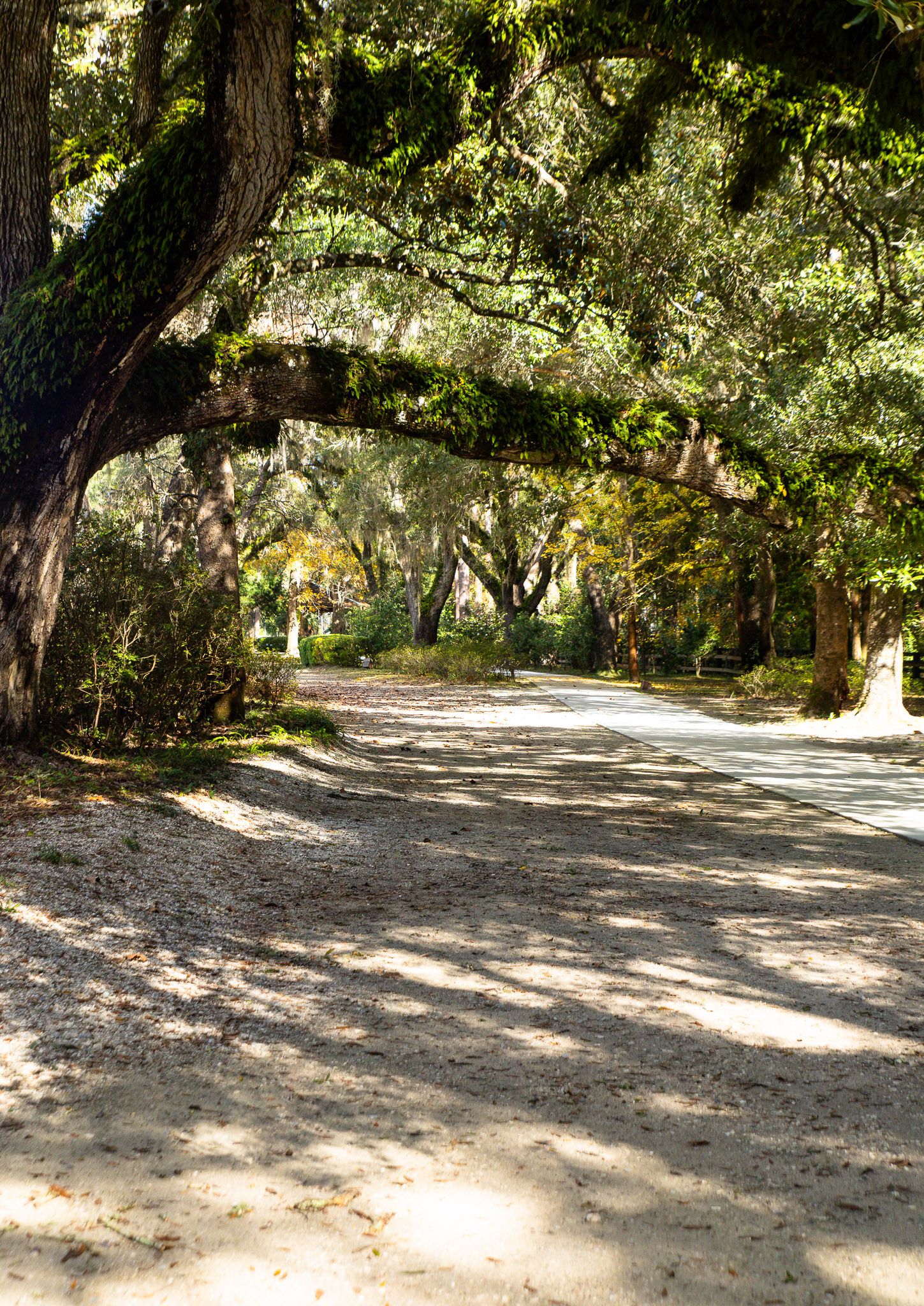 Romantic outdoor engagement portraits at Eden Gardens State Park FL by Kaylin Ross Photography
