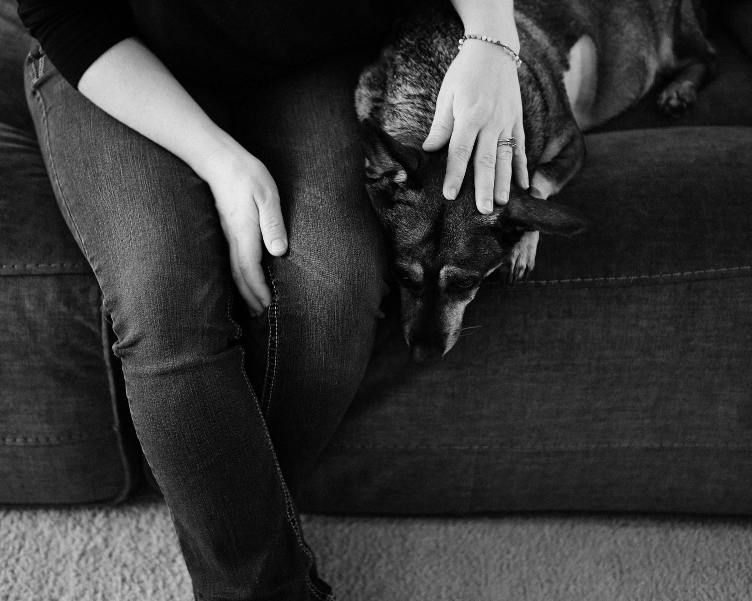 A series of black and white photos showing hands reaching down to pet a small black dog on a couch.