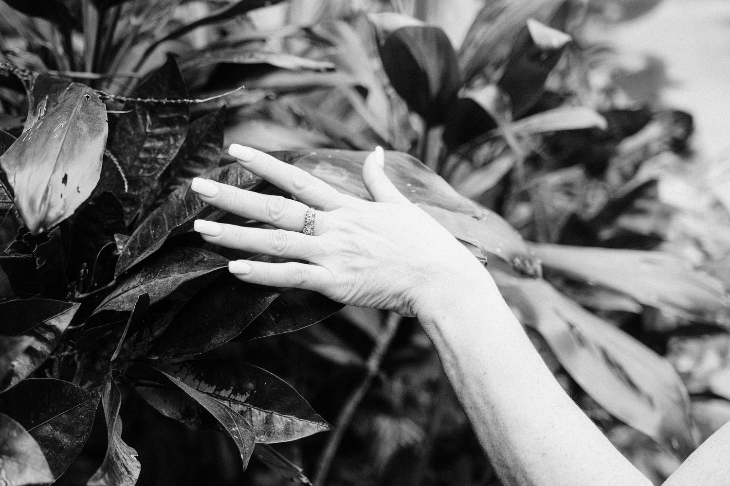Black and white close-up photograph of hands gently touching leaves and branches in a natural setting.