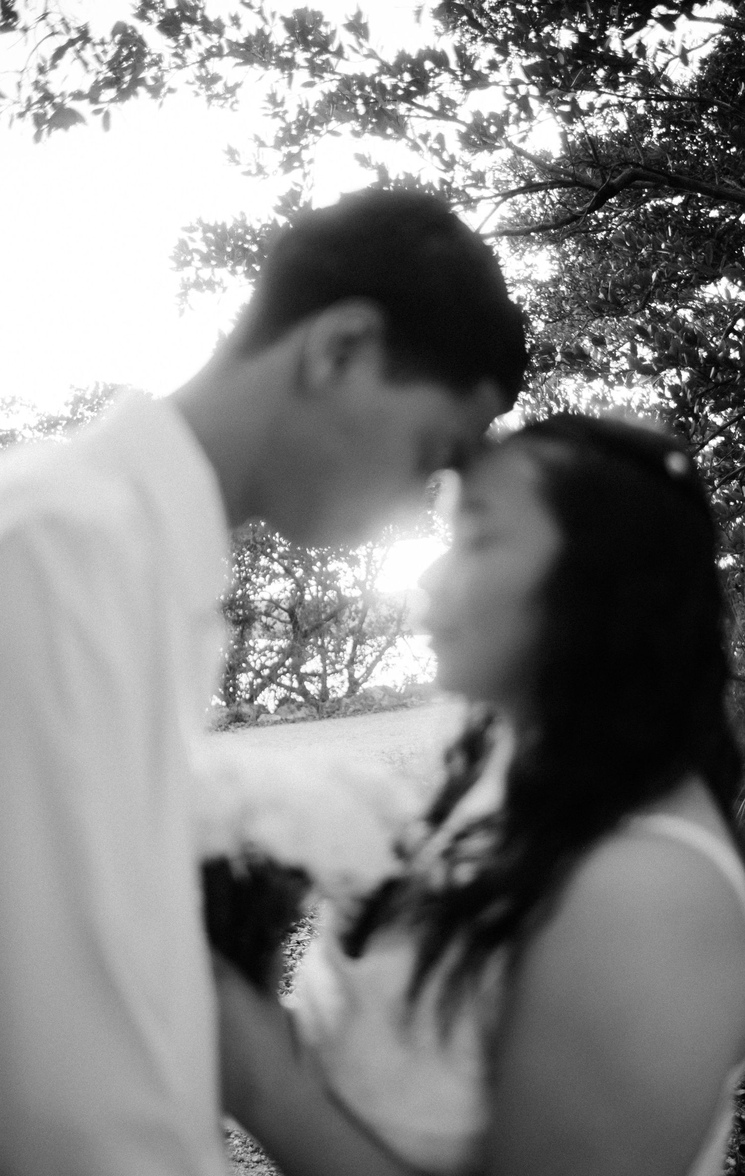 A romantic black and white silhouette photo of a couple about to kiss outdoors with sunlight peeking through trees.