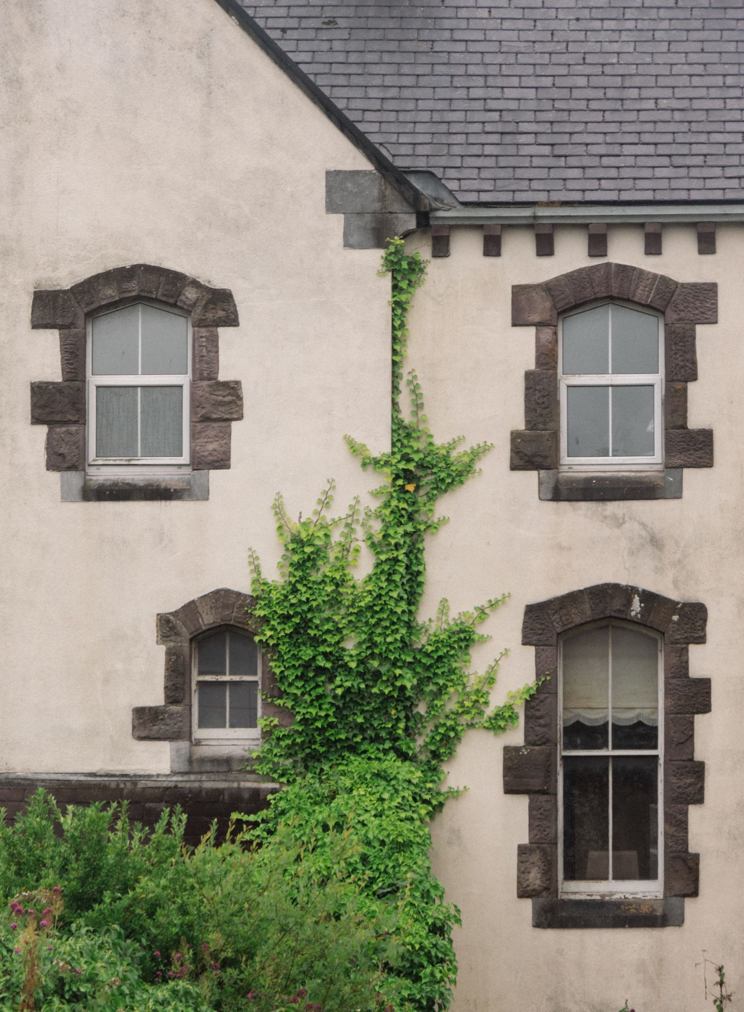 Architectural study of masonry. Focus on the rhythmic stone window surrounds and ivy's organic climb. Exploration of grid-like geometry.