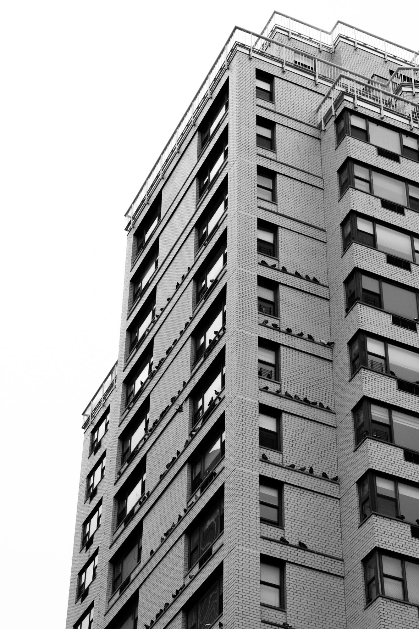 Stunning B&W architectural photography of a high-rise. Modern urban geometry and high-contrast detail for design portfolios and firms.