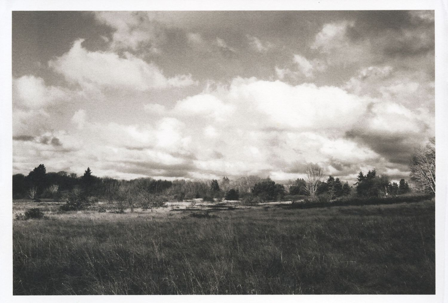 Moody B&W landscape of Discovery Park, Seattle. Dramatic cloudscape over a meadow. Premium fine art photography for galleries and decor.