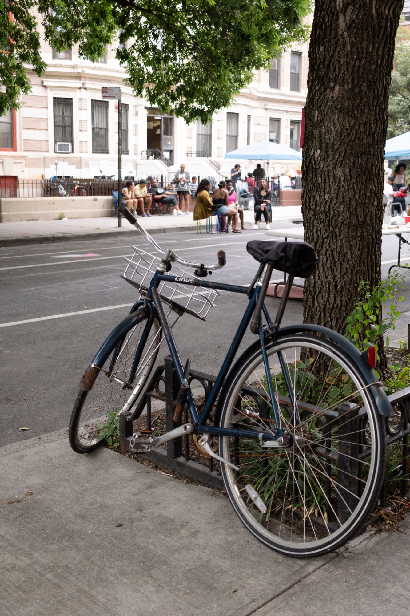 A classic blue commuter bike leans against a tree in Brooklyn, NYC, capturing the authentic urban atmosphere of a summer afternoon.