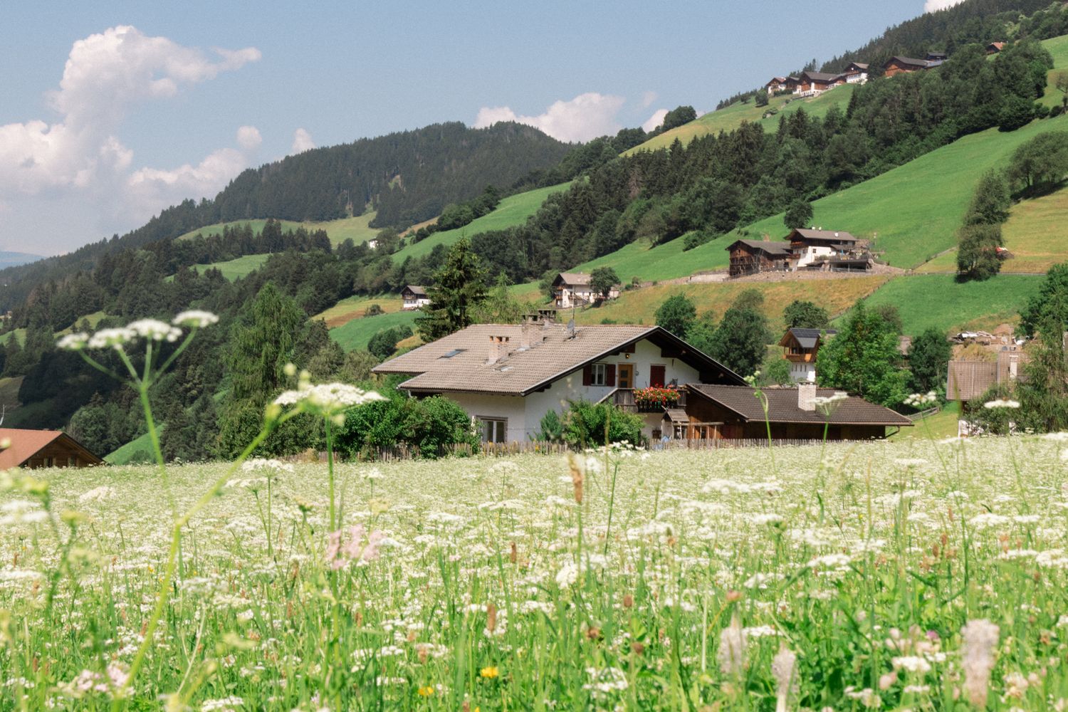 Experience the idyllic charm of South Tyrol with this panoramic view of a mountain village tucked into rolling green hills and meadows.