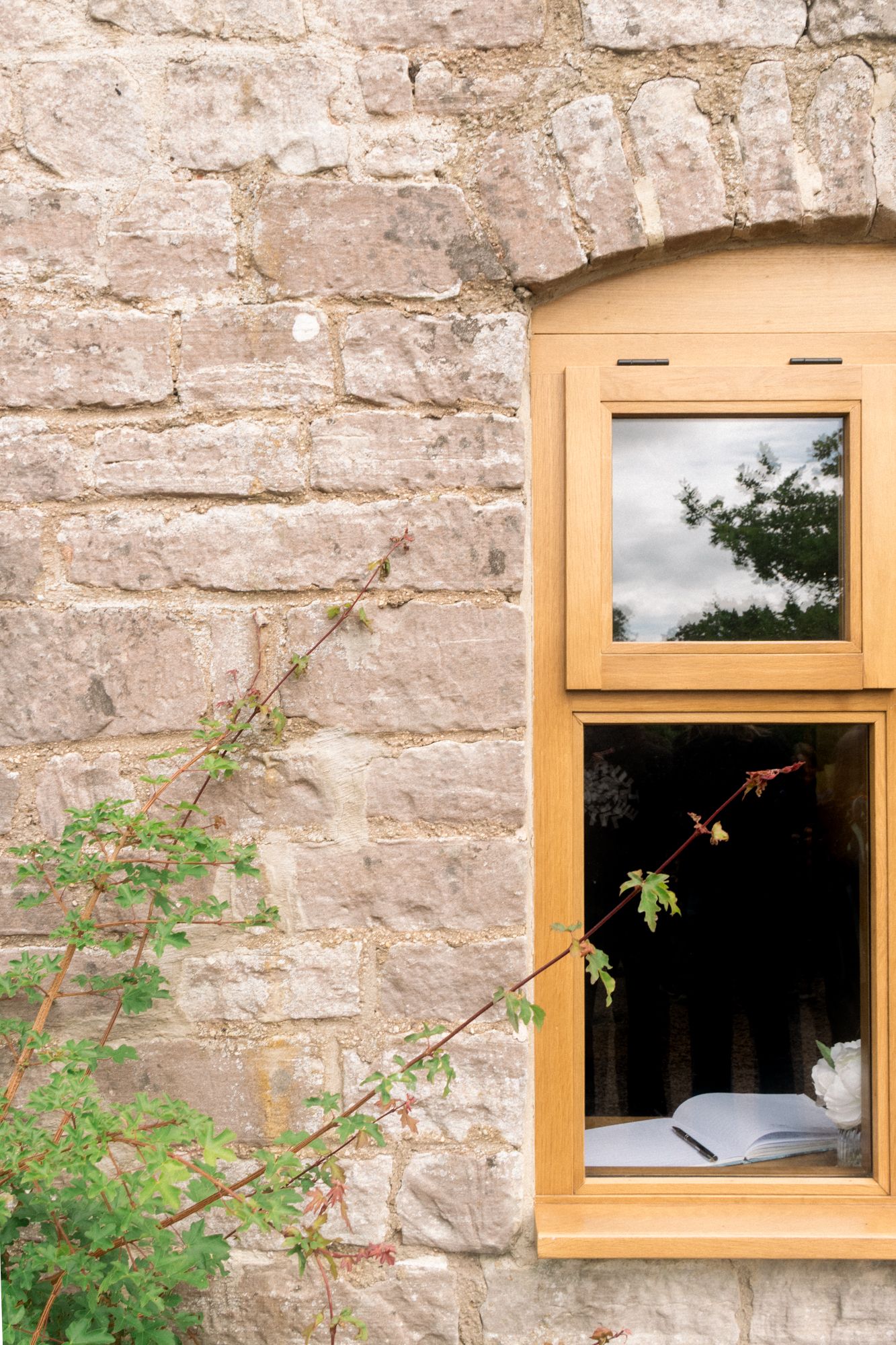 A study of a light oak window set in pale masonry. Focus on the open book on the sill and the delicate vine cutting across the frame.