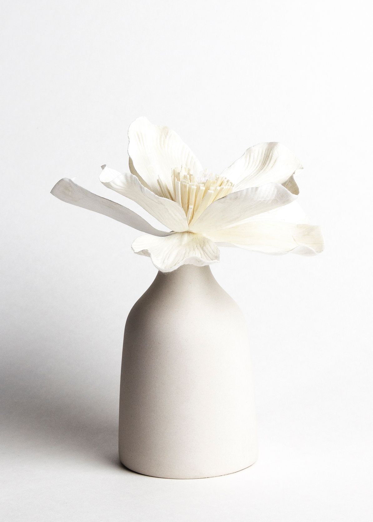 High-end minimalist product photography. Elegant white flower in a ceramic vase. Perfect for wellness branding and modern home decor.