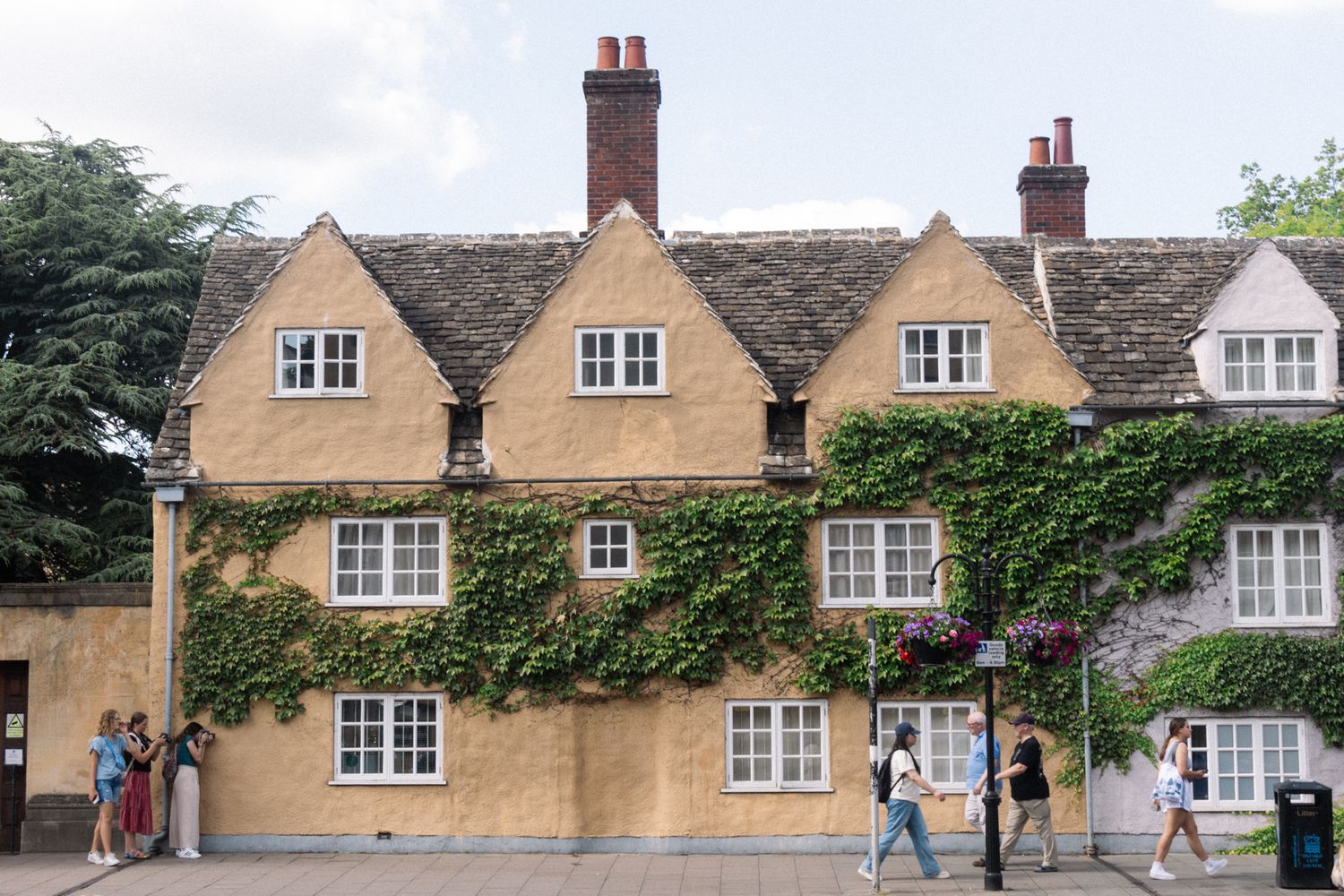 A study of a yellow-washed Cotswold stone building. Focus on the repetitive gables and the organic growth of ivy across the facade.