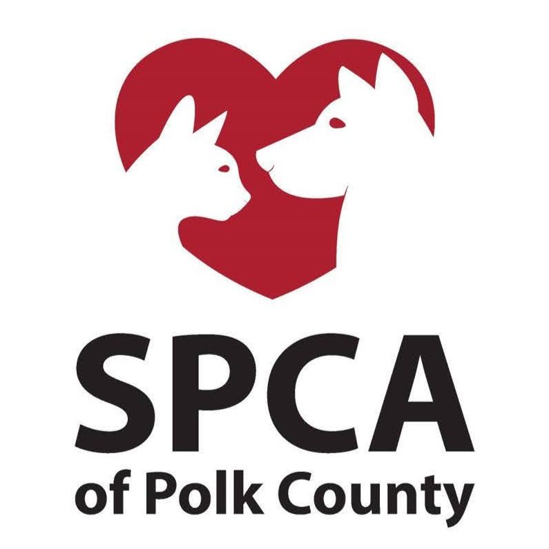 Partner with the SPCA of Polk County in Livingston, Texas, Polk County.  Pawfect Moments Photography photographs their rescue cats and dogs
